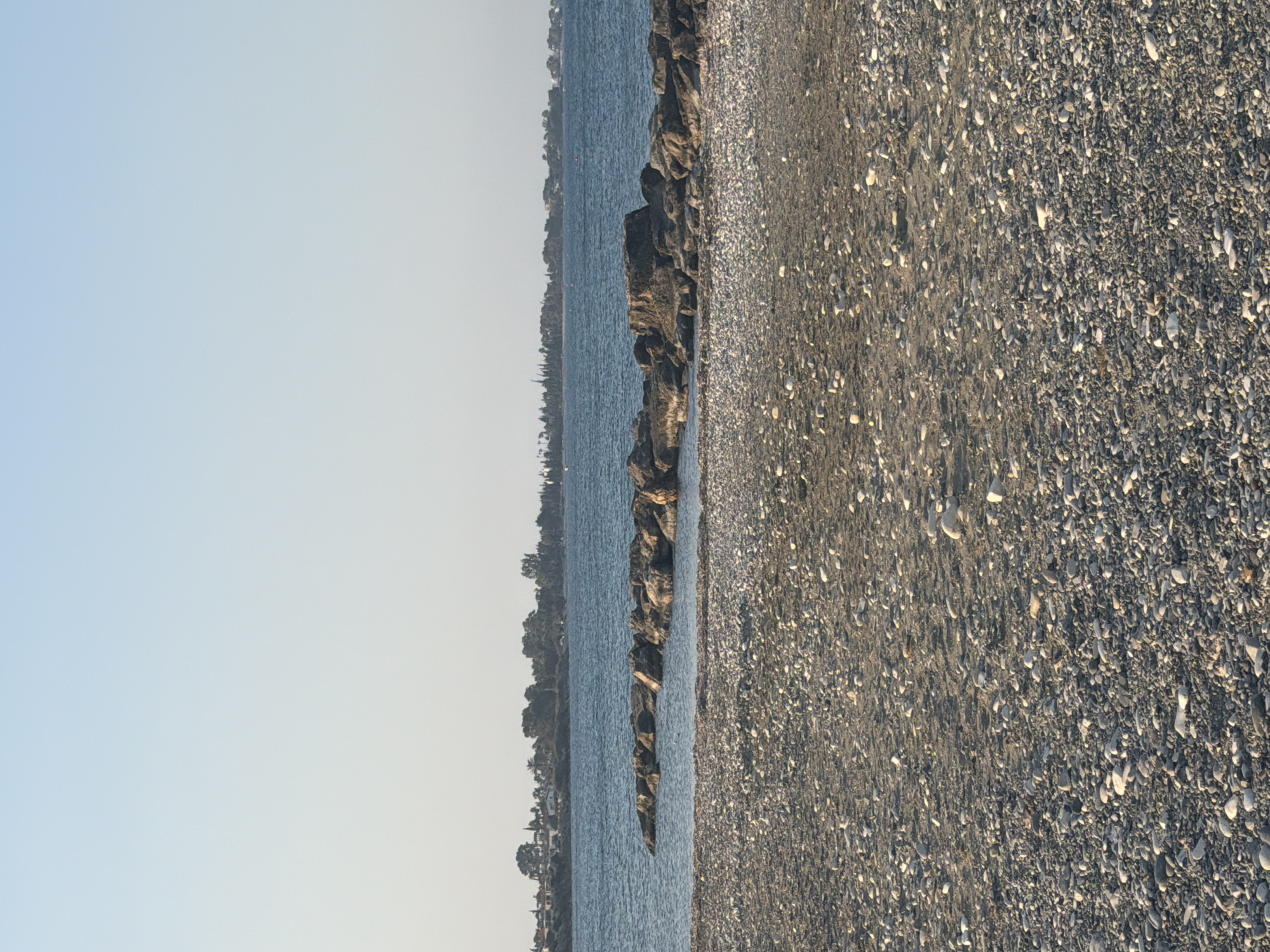 The image shows a rocky beach in Meneou, Cyprus, with the calm sea stretching to the horizon under a clear sky. In the foreground, the beach is covered with a mixture of sand and pebbles of various sizes and colors, mostly gray and white. The pebbles are densely packed, creating a textured surface.
In the midground, a breakwater made of large, rough-hewn rocks juts out into the sea, creating a calm pool of water between it and the shore. The water is a deep blue and appears tranquil, with gentle ripples visible.
In the background, a strip of coastline is visible, lined with sparse vegetation, including trees and some buildings that appear to be houses or villas. The vegetation is green and dense in some areas. The horizon is defined by the meeting of the sea and the sky, with the sky transitioning from a pale blue at the horizon to a lighter, almost white hue at the top of the image, suggesting it is either early morning or late afternoon. No people or animals are visible in the image. The scene is peaceful and undisturbed.