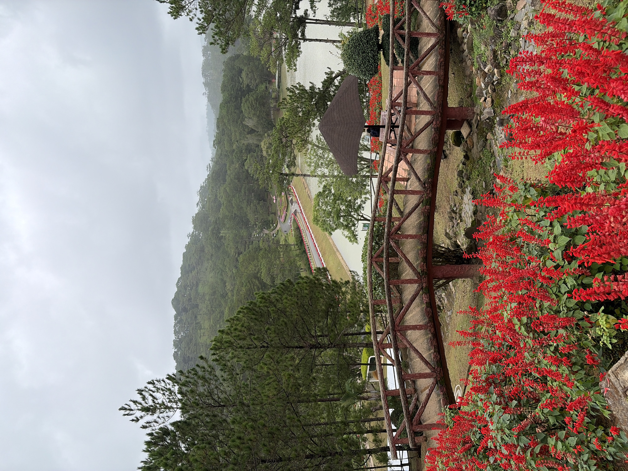 A serene landscape scene is depicted in the city of Lam Vien - Da Lat, Vietnam, under a cloudy sky. In the foreground, a vibrant display of red flowers blankets the area, leading the eye towards a wooden bridge with rustic red accents. The bridge spans a dry creek bed filled with stones and moss. Beyond the bridge, a tranquil lake reflects the overcast sky, bordered by lush green trees and rolling hills covered in dense pine forests. A small, dark-colored umbrella shades a table and chairs on a paved area to the right of the bridge, where a person is seated. In the middle ground, a road curves alongside the lake, with a red railing separating it from the water. The overall impression is one of natural beauty and peacefulness.