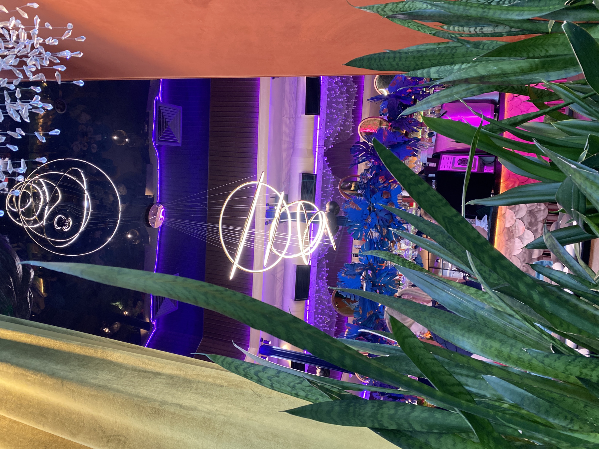 The image captures an interior scene in what appears to be a restaurant or bar setting. The perspective is taken from a low angle, looking upwards and obscured partially by a large potted plant with long, pointed green leaves in the foreground, suggesting it is a snake plant.
In the middle ground, a partially obscured view of the interior reveals a multi-level space. The ceiling is partially covered with a rust-colored fabric. There are suspended circular light fixtures of varying sizes, some with strings. The background features a blend of materials like wood paneling, mirrored surfaces, and draped fabric in shades of blue and purple. Additional elements include blue decorative pieces and glassware.
The presence of the bar setting is noticeable because of the presence of a bar, the bottles displayed, and the staff are visible.
This image is said to be located in Yekaterinburg, Russia.