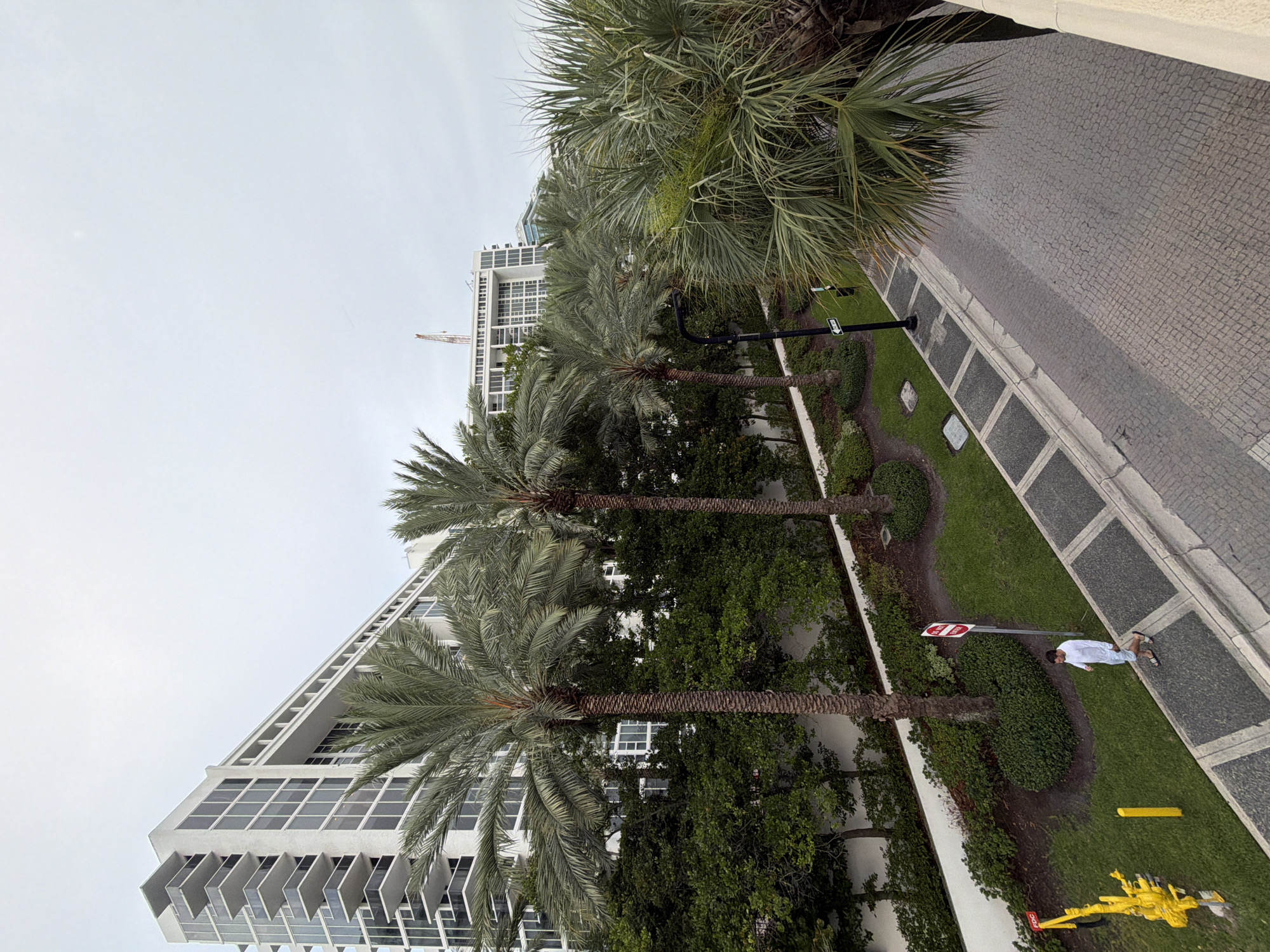 A high-angle view captures a paved walkway alongside a grassy area with several palm trees in Bal Harbour Village, Florida, USA. A man in a white long-sleeved shirt and patterned shorts walks along the walkway. A red "Do Not Enter" sign is visible on a pole in the grassy area, along with a yellow sign and yellow pole further to the left. Behind the greenery and palm trees, a modern white building with multiple balconies and large windows stands tall, its structure stretching horizontally across the frame. The sky above is overcast.