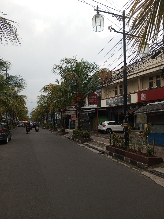 The image presents a street scene in Daringbadi, India, under an overcast sky. A paved asphalt road, appearing dry, extends into the background, flanked by sidewalks and a continuous line of palm trees, some displaying coconuts. Overhead, a dense network of utility wires crosses the street. On the right side, a series of multi-story commercial buildings exhibit storefronts, including two visible 'MINISO' establishments and 'Ravan Music School'. Decorative black streetlights with ornate brackets and lantern-style fixtures are spaced along the right sidewalk, with one prominently in the foreground. Planter boxes containing small vegetation line the sidewalks. On the road, three motorcycles, each occupied by an individual, travel away from the viewer in the mid-ground. A dark-colored vehicle is partially visible parked on the left in the foreground, and a white SUV is parked on the right sidewalk. No explicit pedestrian activity or direct human interactions are discernable.