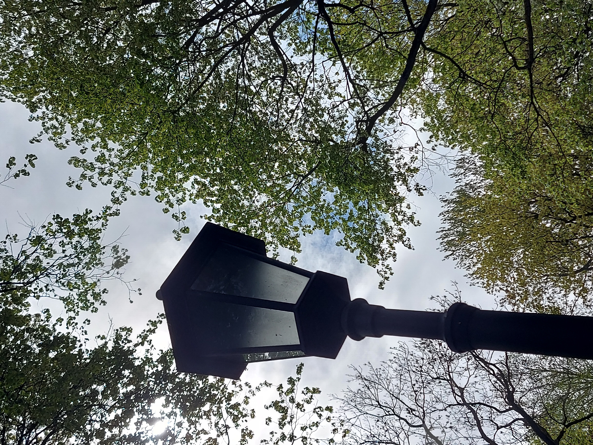 A low-angle shot reveals a black, ornate lamppost positioned between the viewer and the sky, which is partially obscured by trees with green leaves. The perspective is upward, looking past the lamppost towards the tree canopy and cloudy sky. The photograph was taken in Saint Petersburg, Russia.