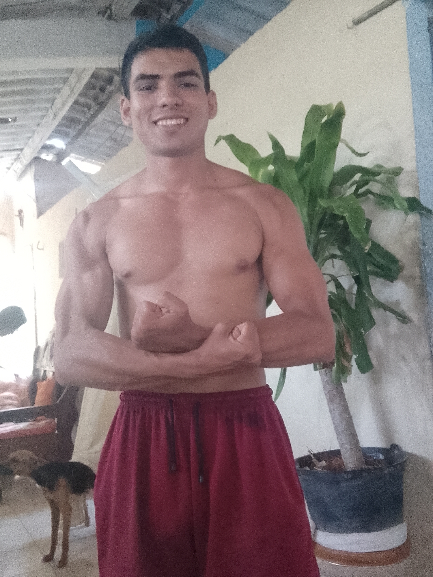 A shirtless man with short dark hair stands smiling in an indoor setting. He is flexing both arms, displaying his biceps. He is wearing red athletic shorts with a drawstring.
Behind him, to the right, is a potted green plant. In the background on the left, there's a glimpse of a room with furniture and a dog. The structure of the building appears to be partially open to the outside.
There is no indication in the image that the photo was taken in Juan Griego, Venezuela.