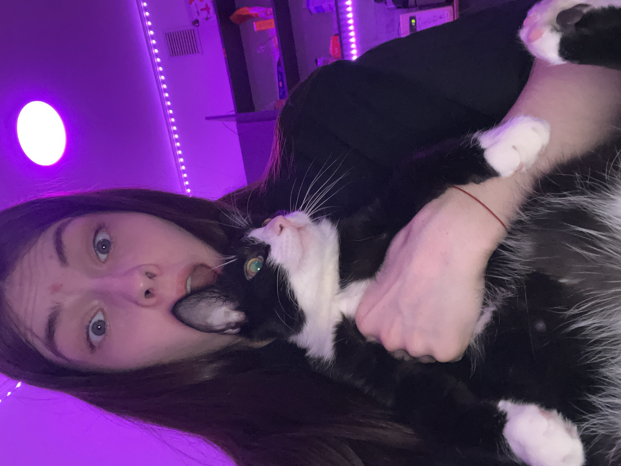 This media file captures an informal indoor scene, likely in Saint Petersburg, Russia, featuring a young person and a black and white cat. The person, with long dark hair, light-colored eyes, and a nose piercing, is seen lying down and playfully interacting with the cat. The cat is shown with its mouth gently biting or mouthing the person's chin/jaw area, its green eyes looking upwards. The person's mouth is slightly open, and their eyes are wide, conveying a moment of playful surprise or affection.
The setting is a room, possibly a bedroom, illuminated by artificial purple light. LED strip lights are visible along the wall/ceiling junction, casting a distinct purple glow, and a bright white circular light fixture is prominent on the ceiling. The background, though blurry, shows shelves containing various items and a ceiling vent. The person is wearing a dark top and has a thin red string bracelet on their left wrist.
The image portrays a close and playful bond between the pet owner and their cat. The dim artificial lighting suggests the scene takes place in the evening or at night. No visible text is present in the image.