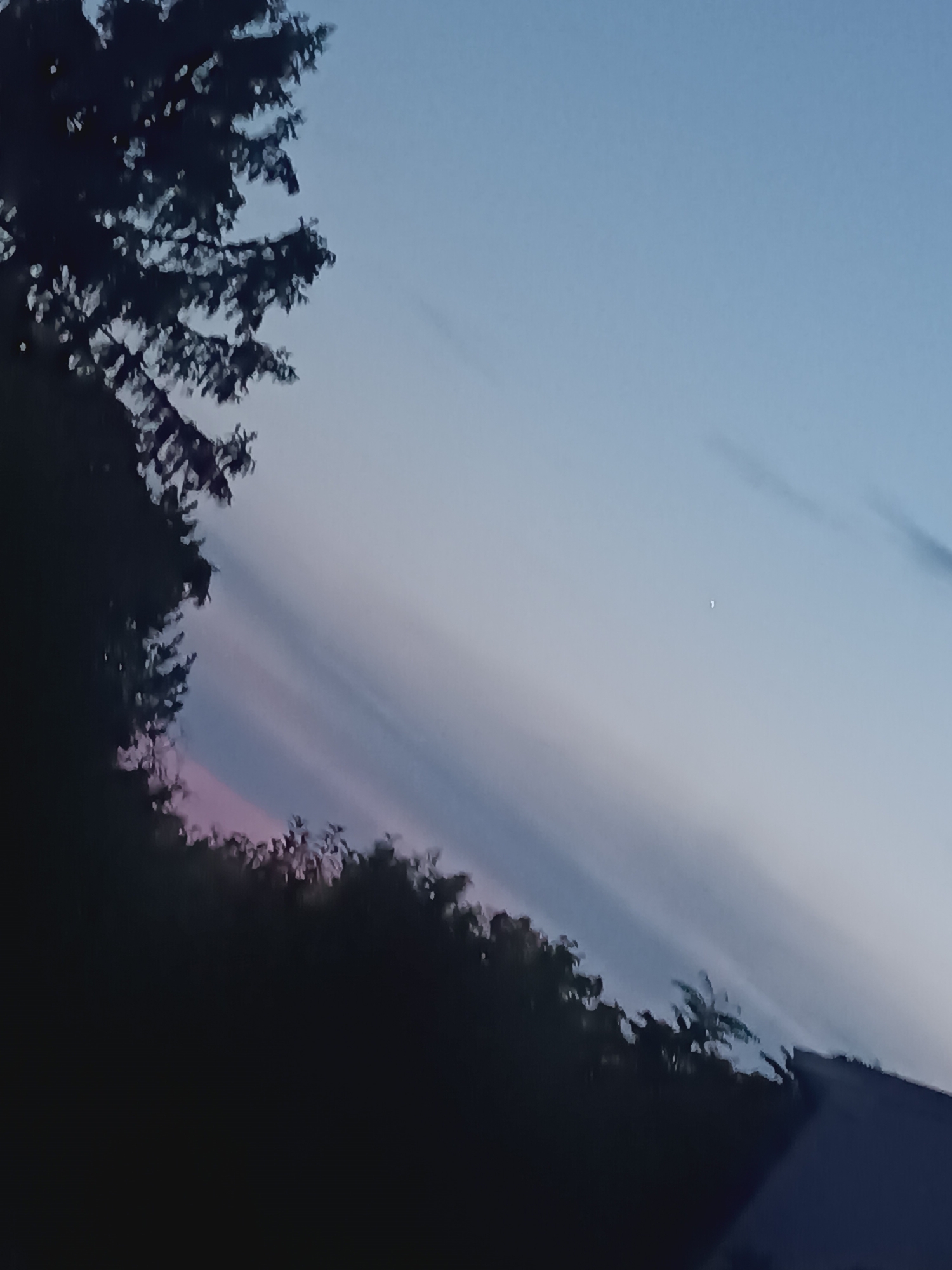 The image depicts a twilight sky with hues of blue, pink, and purple. A dark silhouette of trees and foliage lines the bottom of the frame, with a portion of a dark roof visible on the right. A faint, small light source, possibly a star or planet, is visible in the upper right quadrant of the sky. The perspective suggests the photograph was taken from a slightly elevated position, looking towards the horizon. The scene appears to be an outdoor environment, likely on the outskirts or within a residential area of Viadana, Italy, given the presence of trees and a roof.