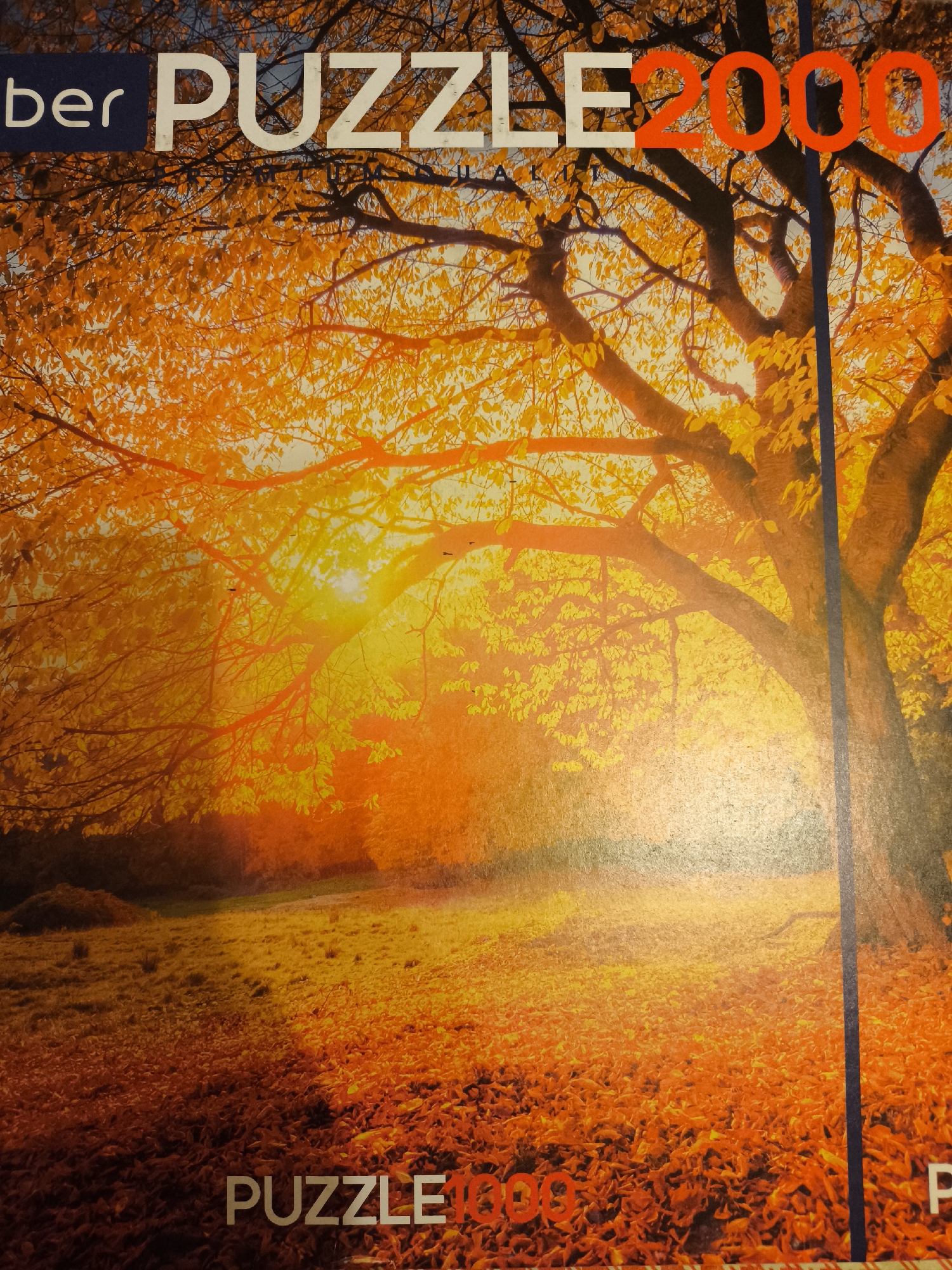 The image is of a jigsaw puzzle box. The puzzle picture depicts a tree in autumn with orange and yellow leaves. Light shines through the branches. The ground is covered in fallen leaves. The puzzle is labeled "PUZZLE 2000" at the top and "PUZZLE 1000" at the bottom. The puzzle is made by the company "ber". There is no indication of the location in Khimki, Russia.