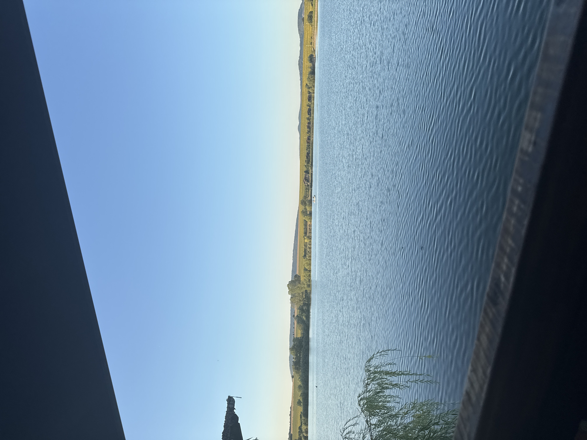 An outdoor, eye-level, vertical shot depicts a serene landscape in Begunovtsi, Bulgaria, on a clear, sunny day. The foreground features a dark wooden railing and the drooping branches of a willow tree on the left, partially obscuring the view of a tranquil lake. The lake's surface is rippled, reflecting the bright blue sky. Across the water, a verdant treeline is visible, bordering a field of what appears to be sunflowers stretching towards rolling hills in the distance. A few small structures, possibly houses or cabins, are scattered along the far bank. Two white paddle boats are present on the lake. The overall scene evokes a sense of peaceful, natural beauty.