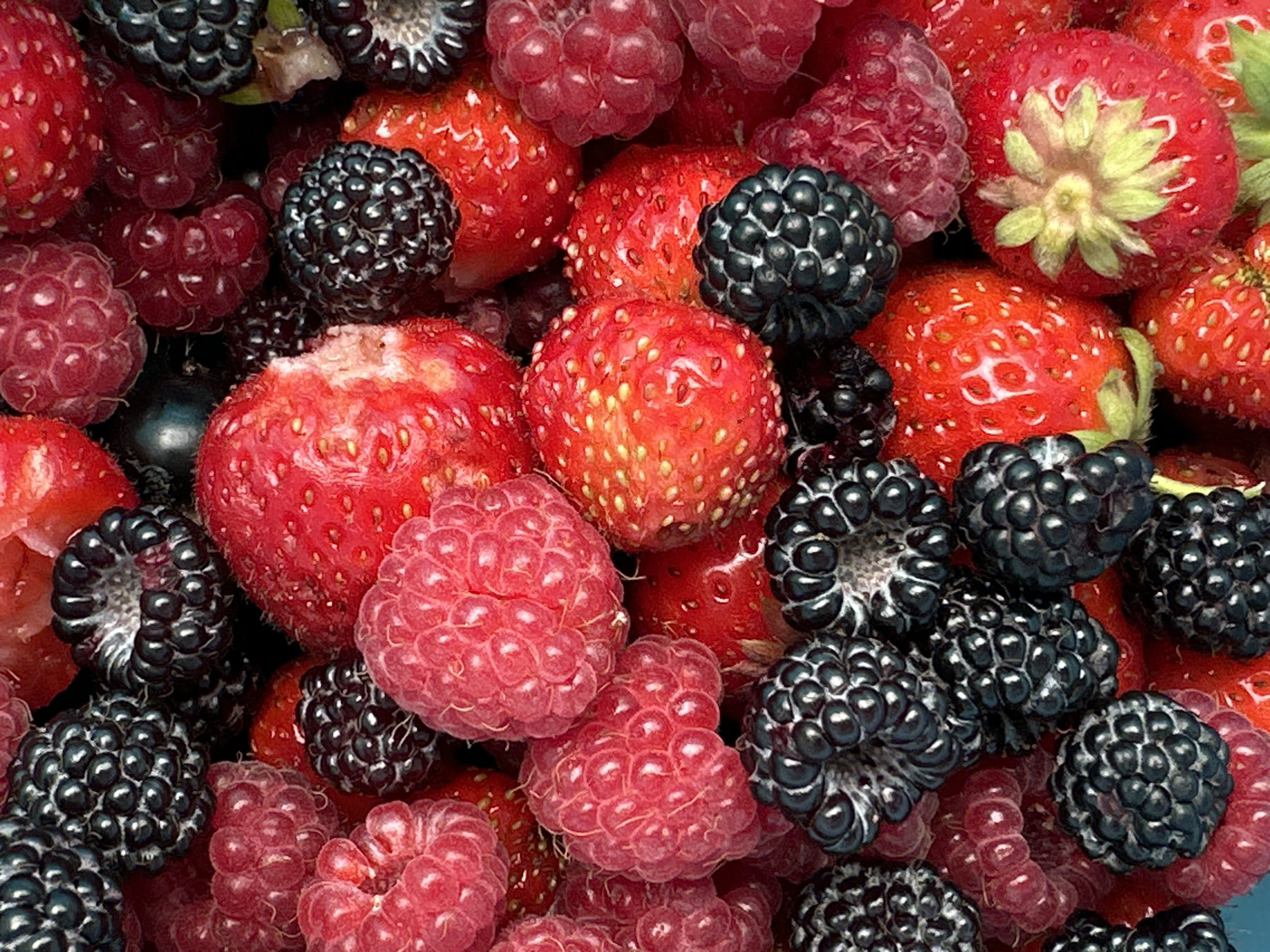 A close-up, top-down view of a collection of ripe raspberries and blackberries is presented. The berries are densely packed, creating a textured surface with vibrant red and deep purple-black hues. The lighting is bright, highlighting the glossy sheen of the fruit and the intricate details of their segmented surfaces. The background is completely filled with these berries, offering no context for their location, and therefore providing no information about Kharnavy, Russia.