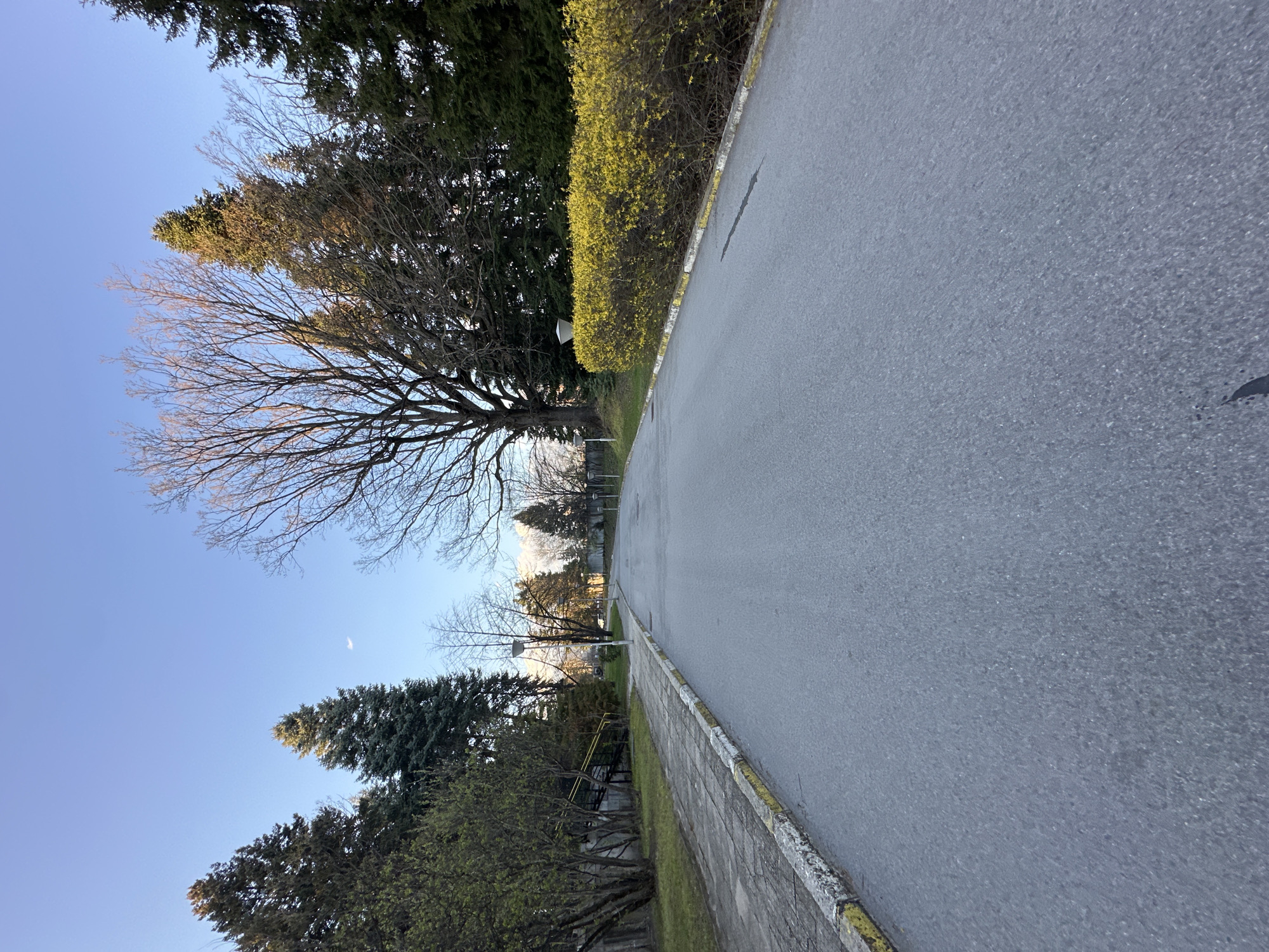The image shows an asphalt road with a sidewalk on the right side, with trees and shrubs lining the left side. The sky is visible in the upper left corner. The scene appears to be outdoors during daylight, with a few trees without leaves suggesting either early spring or late autumn. A faint crescent moon is visible in the sky. The location is Sofia, Bulgaria. No people are visible in the image.