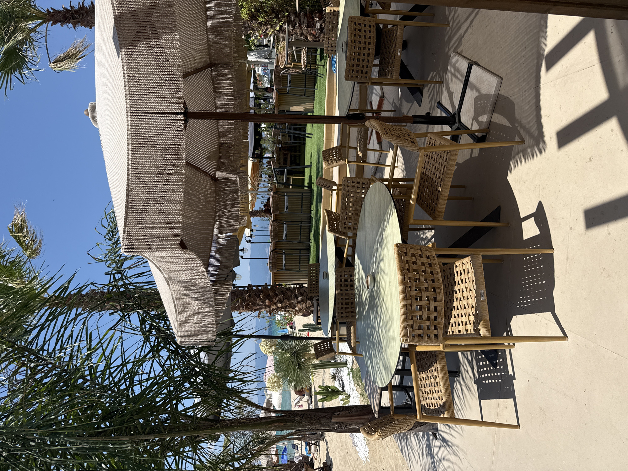 This image captures an outdoor seating area at a beachside establishment in Ofrynio Beach, Greece. The scene is dominated by a large umbrella with a fringed edge, providing shade over several round tables and wicker chairs. Palm trees are visible in the foreground and background, along with a view of the sea and coastline in the distance. Other elements include a bar area with stools and tables, and several potted plants, including cacti. The ground is paved with light-colored tiles, and sand is visible on the left side of the image, indicating the proximity to the beach. The sky is clear and blue. No people are clearly depicted in the immediate seating area, though some figures are visible on the beach in the background.