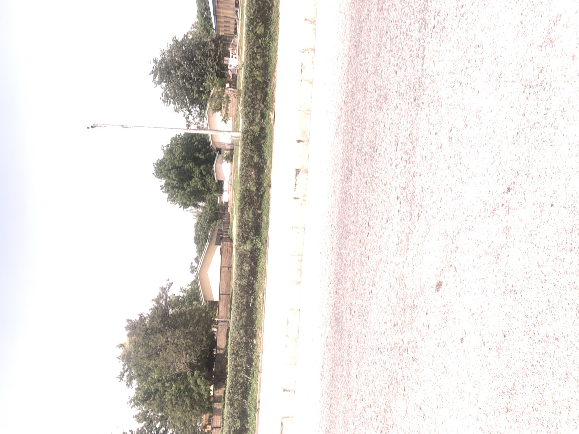 The image captures a scene in Jalingo, Nigeria, showing a street with a tree-lined median. On the left side of the median, residential buildings with light-colored walls and brown roofs are visible, interspersed with lush green trees. A tall, thin pole, possibly a streetlight or flagpole, stands prominently in the distance. The right side of the image is dominated by a light-colored paved surface, likely a road or sidewalk, with a textured, granular appearance. The sky above is bright and overcast, suggesting it is daytime. The overall impression is one of a quiet, residential area in a warm climate. No people or specific activities are clearly depicted.