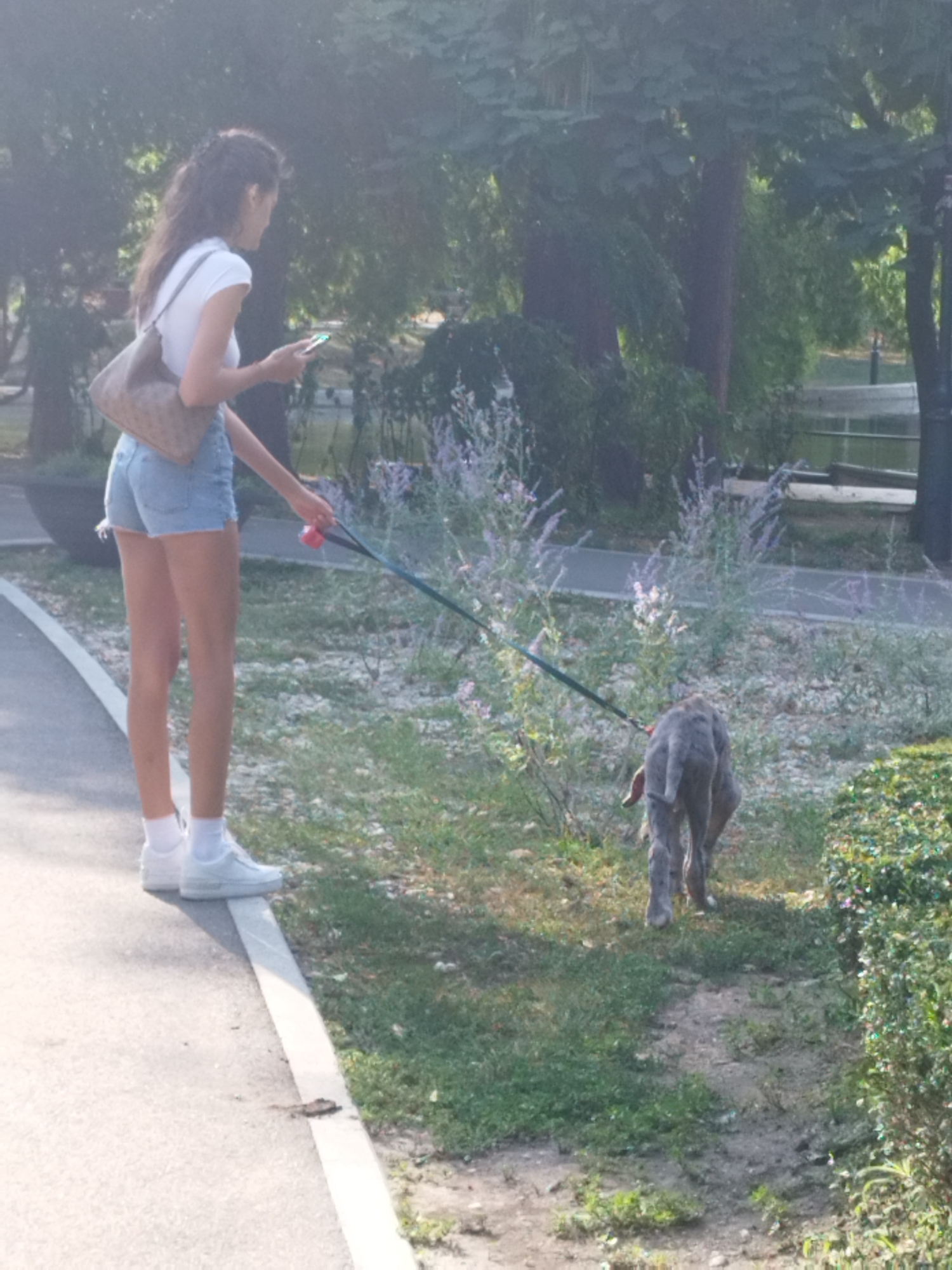 A person is walking a dog in a park in Bucharest, Romania. The person, a woman with dark hair, is wearing a white t-shirt, denim shorts, white socks, and white sneakers. She is carrying a brown shoulder bag and holding a leash attached to the dog. The dog is grey and appears to be walking away from the camera. The environment includes trees, grass, and a paved path. The lighting suggests it is daytime.