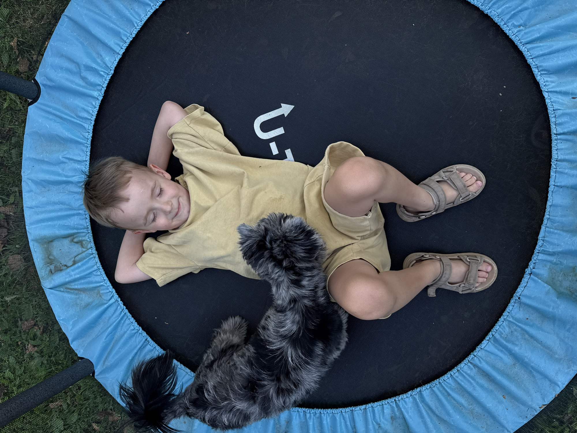 The image shows a young boy lying on his back on a round trampoline with a blue padded edge. He is wearing a light yellow t-shirt and tan shorts, and his eyes are closed with a slight smile on his face, suggesting a relaxed and content emotion. He has his hands behind his head. On the trampoline next to him, a small, dark, scruffy-haired dog is also lying down, looking towards the boy. The trampoline is set up outdoors on a grassy area, with some fallen leaves visible on the grass, indicating it is likely autumn. The lighting suggests it is daytime, possibly late afternoon given the soft shadows. A white arrow graphic with a curved line above it is visible on the black surface of the trampoline. The scene evokes a feeling of peaceful leisure and companionship between the boy and his dog.