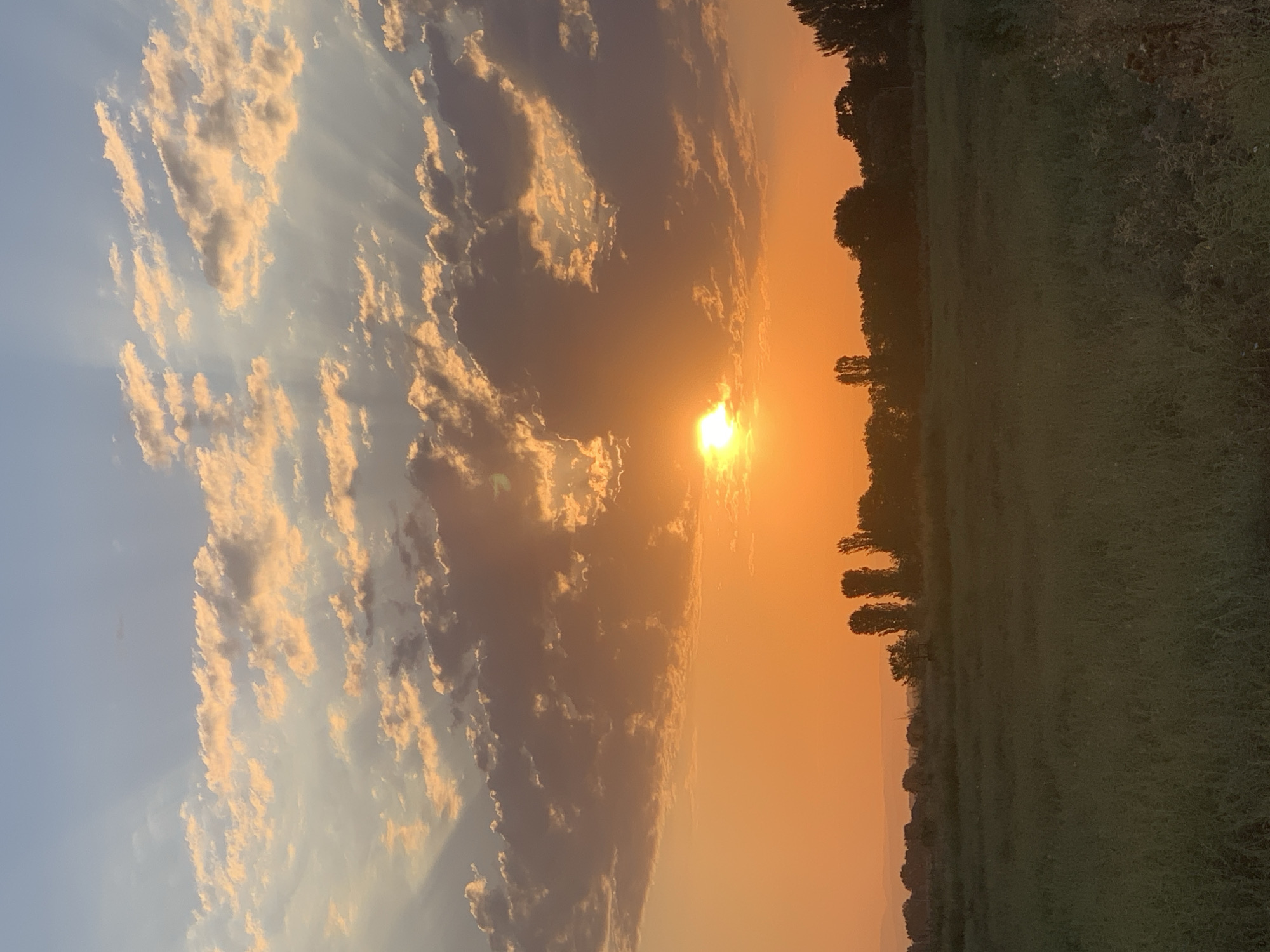 A vertical, medium shot captures a sunset over a field in Komsomolskoe, Kyrgyzstan. The sky is dominated by a vibrant orange glow from the setting sun, which is partially obscured by fluffy, light-colored clouds that are tinged with orange and grey. Rays of sunlight emanate from behind the clouds, creating a dramatic effect. A line of trees forms a dark silhouette against the horizon, separating the sky from the foreground. The foreground consists of a green field, possibly a meadow or agricultural land, with some taller grasses and possibly weeds visible on the right side. The overall scene evokes a peaceful, natural landscape at dusk. There are no people or specific objects of interest other than the natural elements.