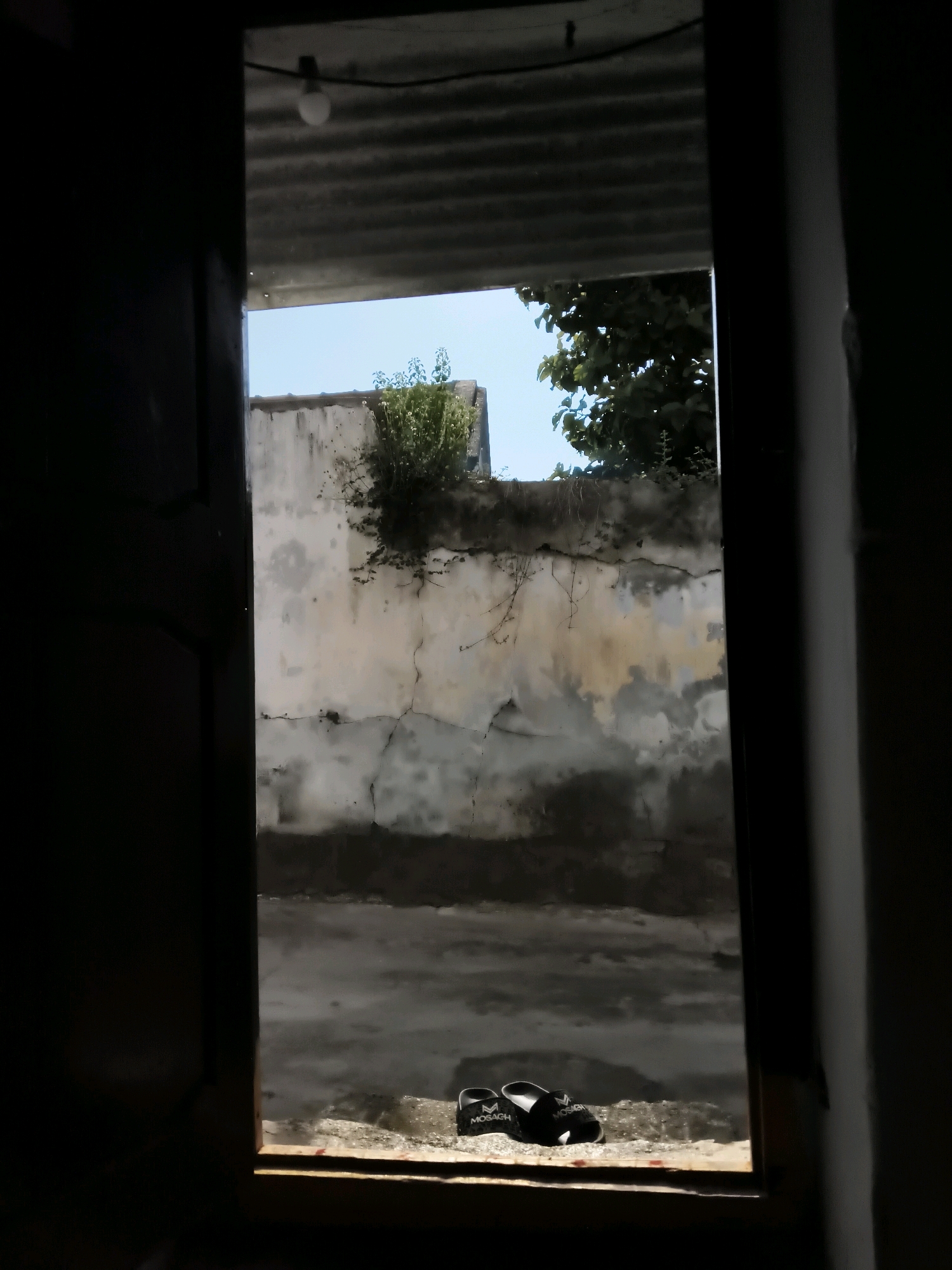 The image shows a view from inside a dark doorway looking out into an open area with a distressed, light-colored wall. The wall is cracked and stained, with patches of dirt and discoloration. Green vegetation grows from the top of the wall and trails down, with a large tree visible to the right. Above the wall, a clear blue sky is visible, with the corrugated metal roof of a structure extending across the top of the frame. In the foreground, on the ground within the doorway, a pair of black sandals with "MOSACH" written on them is visible. The lighting suggests it is daytime, with sunlight illuminating the outdoor scene while the interior remains dark. The scene appears to be in a rural or semi-urban setting, possibly a residential compound.