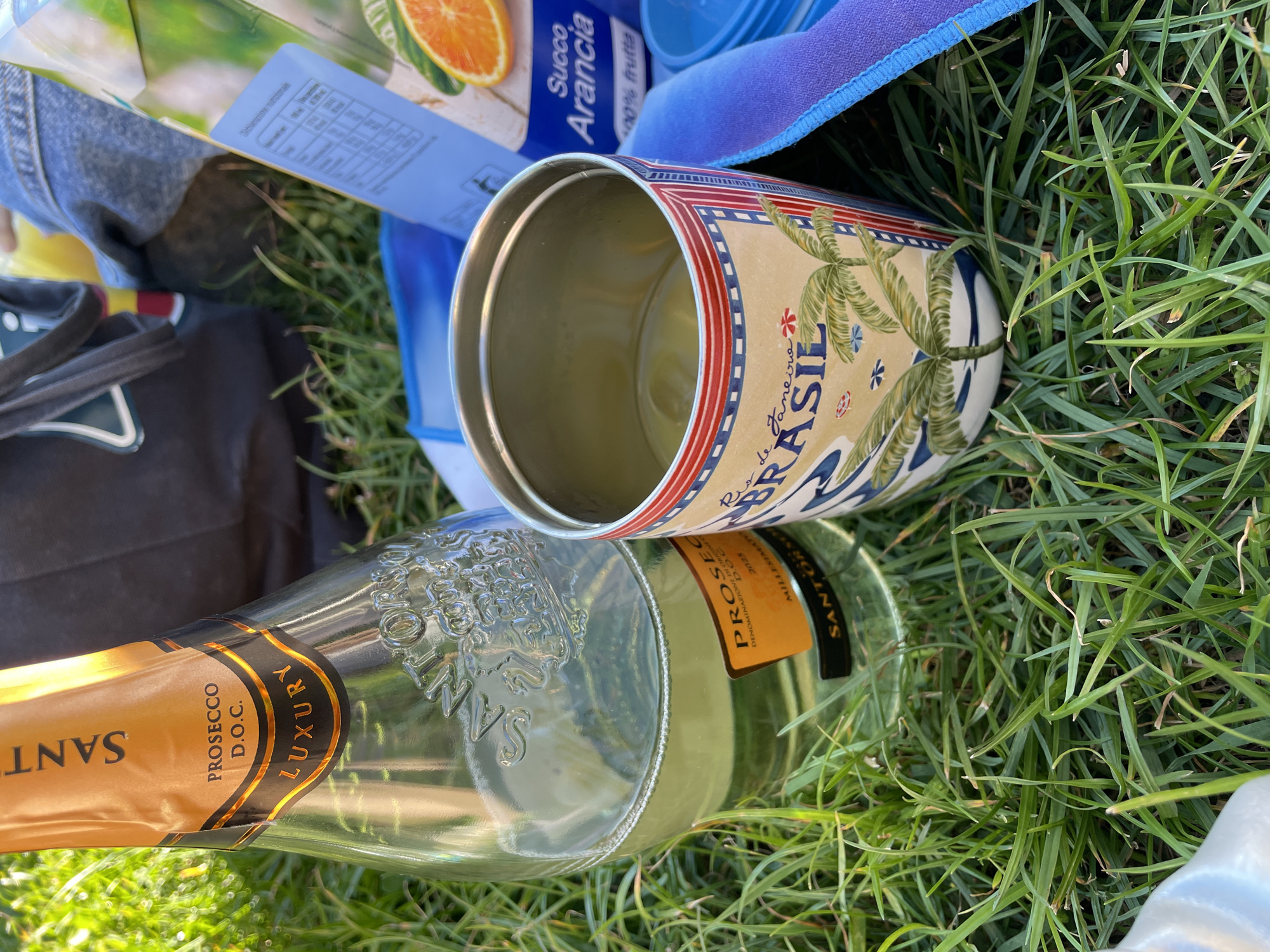 The image depicts a scene of discarded refuse on a patch of green grass, suggesting an outdoor setting. The remnants of a picnic or gathering are visible. A clear glass Prosecco bottle with an orange label bearing the words "PROSECCO D.O.C. LUXURY" is prominently displayed. Adjacent to it is an empty tin can with a design featuring palm trees and the word "BRASIL". There is also a blue container and orange juice. The presence of the Prosecco bottle suggests a celebration, while the discarded items paint a picture of littering.
While the image offers details about the objects and environment, there is no information present that allows me to pinpoint a specific location in Milan, Italy, or to identify any people or actions.