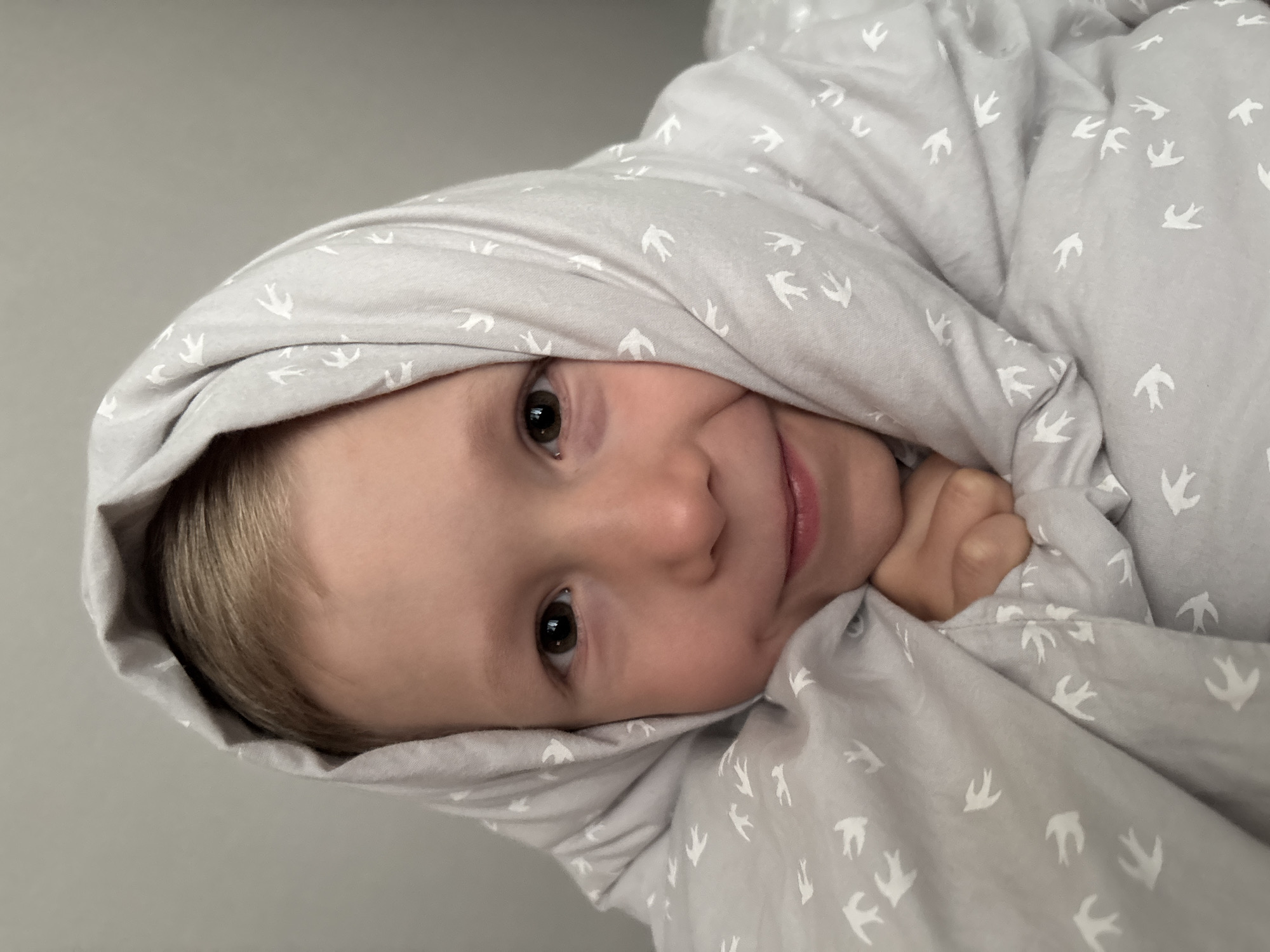 A close-up portrait shows a young child peeking out from under a light grey blanket adorned with a repeating pattern of small white bird-like figures. The child, appearing to be a toddler, has light blonde hair and expressive dark brown eyes that look directly into the camera. A soft, gentle smile plays on their lips, conveying a sense of contentment or playfulness. The blanket is wrapped snugly around their head and body, creating a cozy and secure enclosure, with only their face and a small part of their hand visible. The background is a plain, light grey surface, suggesting an indoor setting without specific details. The lighting is soft and even. The original image is oriented such that the child's head is on the left side of the frame, tilted upwards, as if lying down and looking sideways at the viewer. No text is visible in the image. The location context provided for this image is Chaikovsky, Russia.