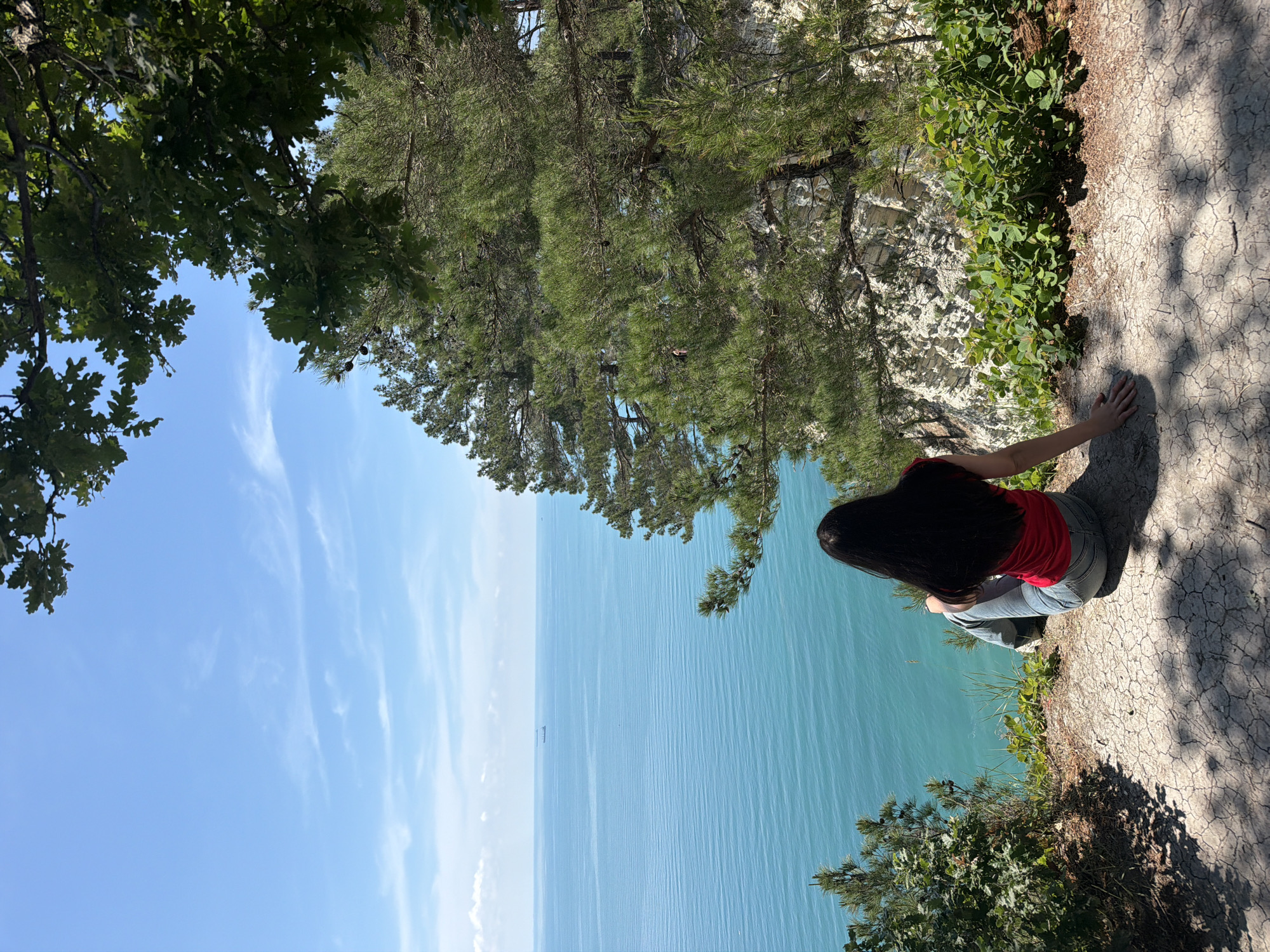 A person with long dark hair, wearing a red shirt and blue jeans, sits on the edge of a cliff overlooking the Black Sea in Dzhankhot, Russia. The sea is a vibrant turquoise, with faint ripples creating a textured surface. A cargo ship is visible on the horizon. The cliff face is rocky and white, with green foliage growing from its crevices. Pine trees and oak branches frame the upper right and lower left corners of the image, casting dappled shadows on the cracked, dry ground where the person is seated. The sky is a clear, pale blue with wispy white clouds.