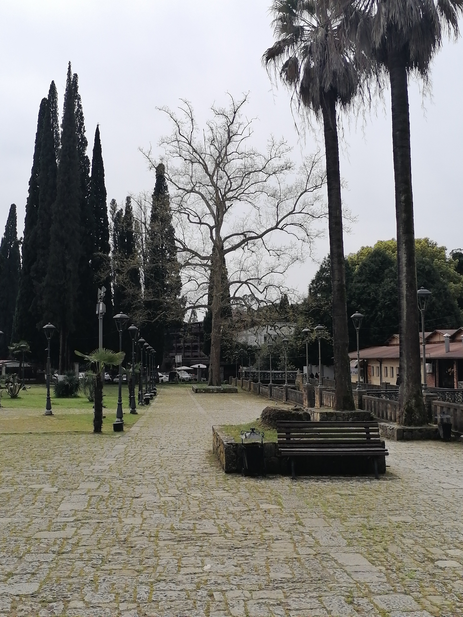 The image portrays a serene park or public square under an overcast, light gray sky. A wide cobblestone pathway, interspersed with patches of grass and moss, stretches into the distance, lined on both sides by classic black lampposts.
To the left of the path, a well-maintained green lawn is bordered by a dense line of tall, dark green coniferous trees, likely cypresses, which stand out against the pale sky. Among these trees, a tall, slender pole with equipment or an antenna at its summit is visible. Further along the path, a large, bare deciduous tree with an intricate network of branches occupies the central-left, its lack of leaves suggesting a late winter or early spring season. On the right side of the frame, two prominent palm trees with dense, dried fronds rise high.
A low stone wall or barrier runs parallel to the right side of the pathway. Beyond this wall, various buildings with light-colored facades and reddish-brown roofs are partially visible, nestled among lush green foliage. A dark wooden park bench, set on a stone foundation, is positioned in the right foreground, next to a black metal trash bin.
The scene is devoid of people, contributing to its quiet and contemplative mood. The diffuse lighting indicates daytime with heavy cloud cover. A small, indistinct sign in the background, between the palm trees and the bare tree, displays partial Cyrillic script, with the letters "И РЫ" being discernible, possibly referring to a business like a "fish" shop or restaurant. The combination of palm trees, cypresses, and the general architecture hints at a Mediterranean or subtropical locale, potentially in a region where Cyrillic script is used.