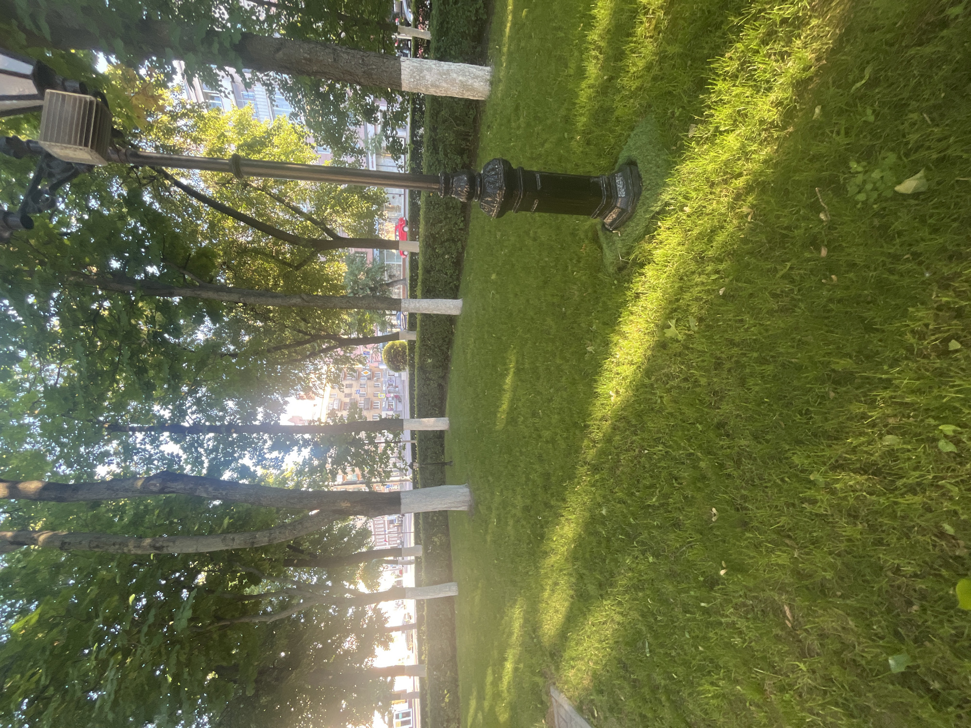 The media file depicts an outdoor scene of a park or boulevard in Novaya Usman, Russia. The primary subjects are trees lining a grassy area, with a black lamppost visible in the foreground. The trees have their lower trunks painted white, a common practice in some regions. Beyond the trees, buildings with multiple stories and windows are visible, suggesting an urban or suburban environment.
The scene appears to be set during the daytime, as indicated by the sunlight casting shadows on the grass and illuminating the foliage. The weather seems to be pleasant, with clear skies implied by the strong sunlight. The grass is neatly mowed, and there is a hedge or a row of bushes behind the trees.
No people or specific activities are clearly depicted. The focus is on the natural and man-made elements of the park. The overall mood is serene and tranquil, suggesting a peaceful atmosphere in the park.
There is no visible text in the media file. The image is taken from a low angle, looking up slightly towards the trees and buildings. The orientation of the image is rotated, with the ground appearing on the right side of the frame and the sky on the left.