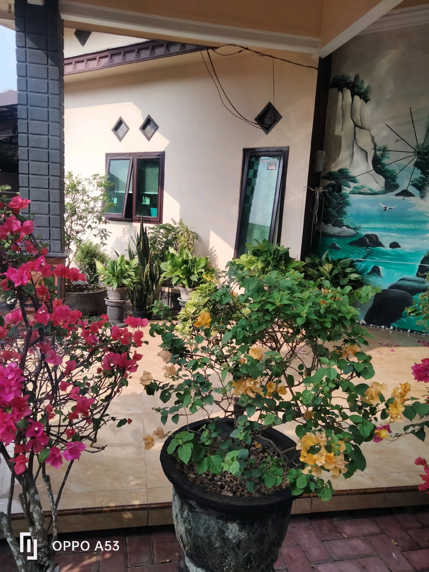 An exterior shot captures a vibrant scene featuring flowering plants against a building. In the foreground, a large potted plant with bright pink bougainvillea dominates the left side, its branches reaching upwards. To its right, another potted plant displays delicate yellow and pink blossoms. The background reveals a light-colored building with a dark-colored pillar on the far left. The building features windows and a decorative diamond-shaped element. A mural of a waterfall and landscape adorns the right side of the building. The ground is paved with light-colored tiles, with hints of red brickwork visible at the bottom. A partial view of a roofline is visible at the top. The image appears to be taken during daylight hours. The scene is likely a residential or commercial outdoor space in Trenggalek, Indonesia, characterized by the lush greenery and architectural style.