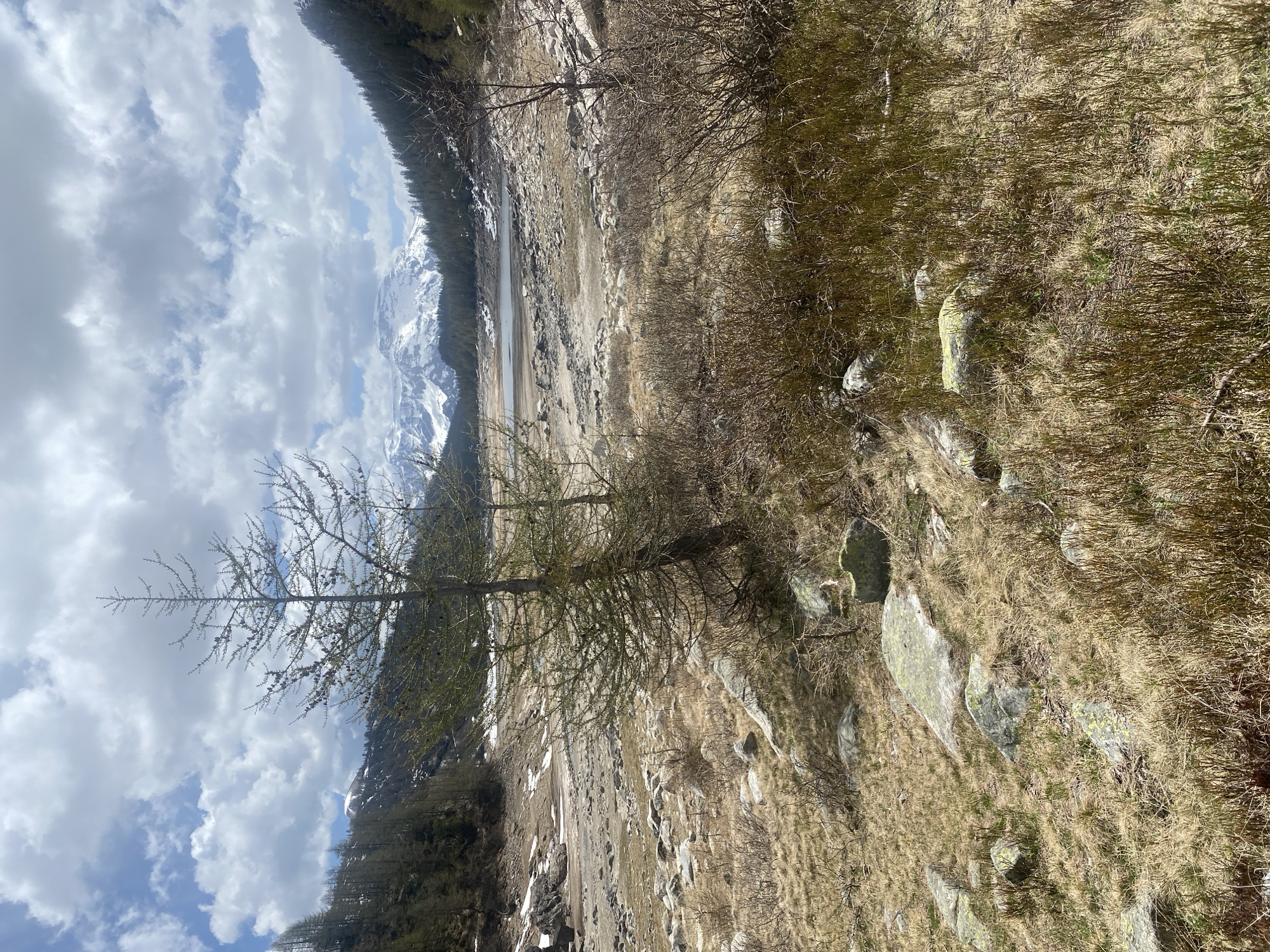 The image depicts a mountainous landscape in Baceno, Italy. A partially dry lakebed sits in the valley, with snow-capped mountains visible in the background. The foreground is characterized by dry grass, rocks, and scattered trees. The sky is partly cloudy. No people are visible.
