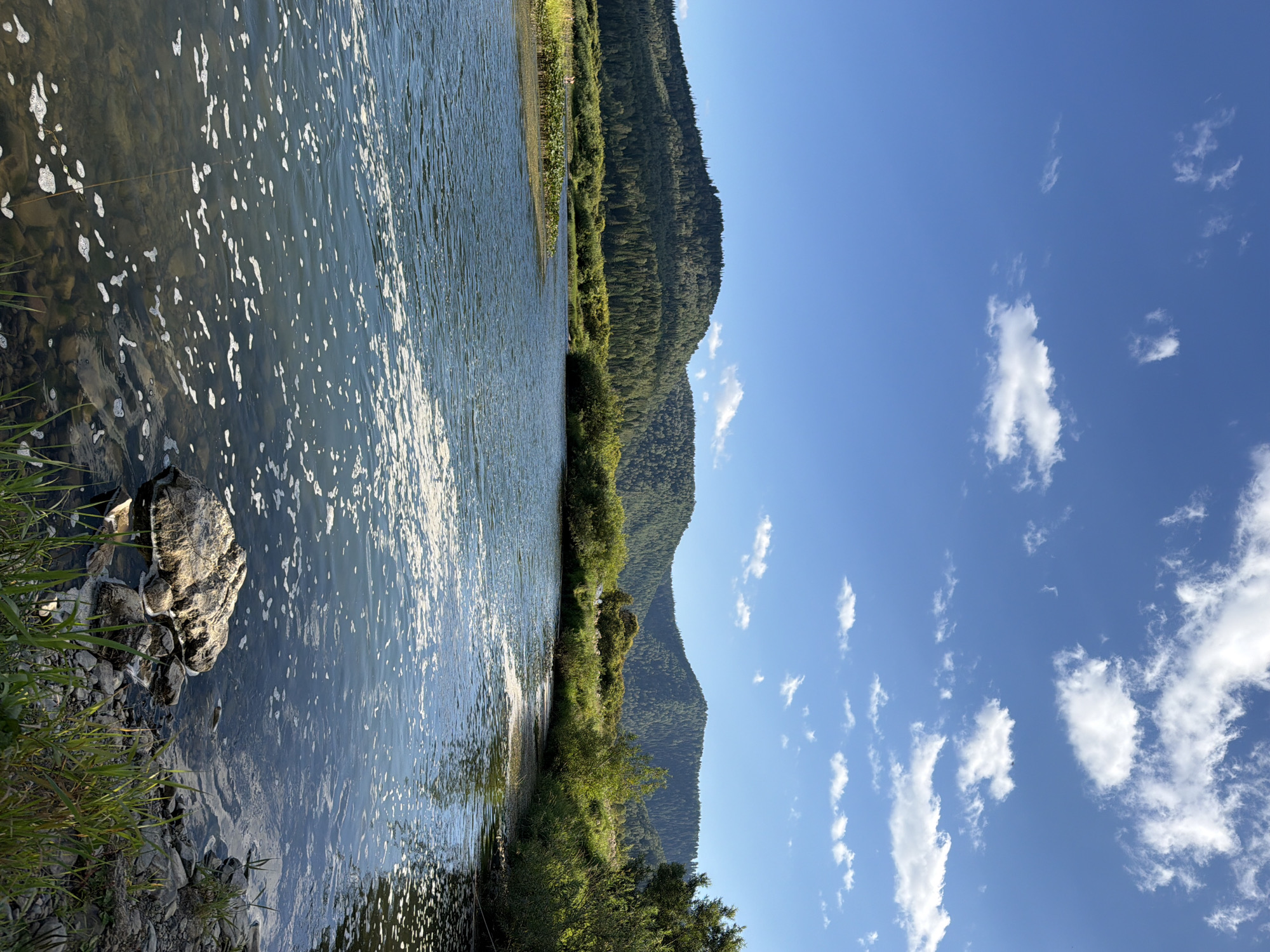 A wide, clear river flows through a lush green landscape under a bright blue sky dotted with scattered white clouds. The water in the foreground is rippled and shows some foam on the surface, with visible rocks and pebbles beneath the clear water. The riverbanks are lined with dense green vegetation, including tall grasses and bushes. In the mid-ground, a line of lily pads forms a distinct border on the left side of the river, with what appear to be two small human figures standing near them. Across the river, rolling hills covered in dense green forests rise up, creating a picturesque backdrop. The scene appears to be a natural environment, possibly a park or a scenic natural area within or near the city of Ust'-Pyzas, Russia.