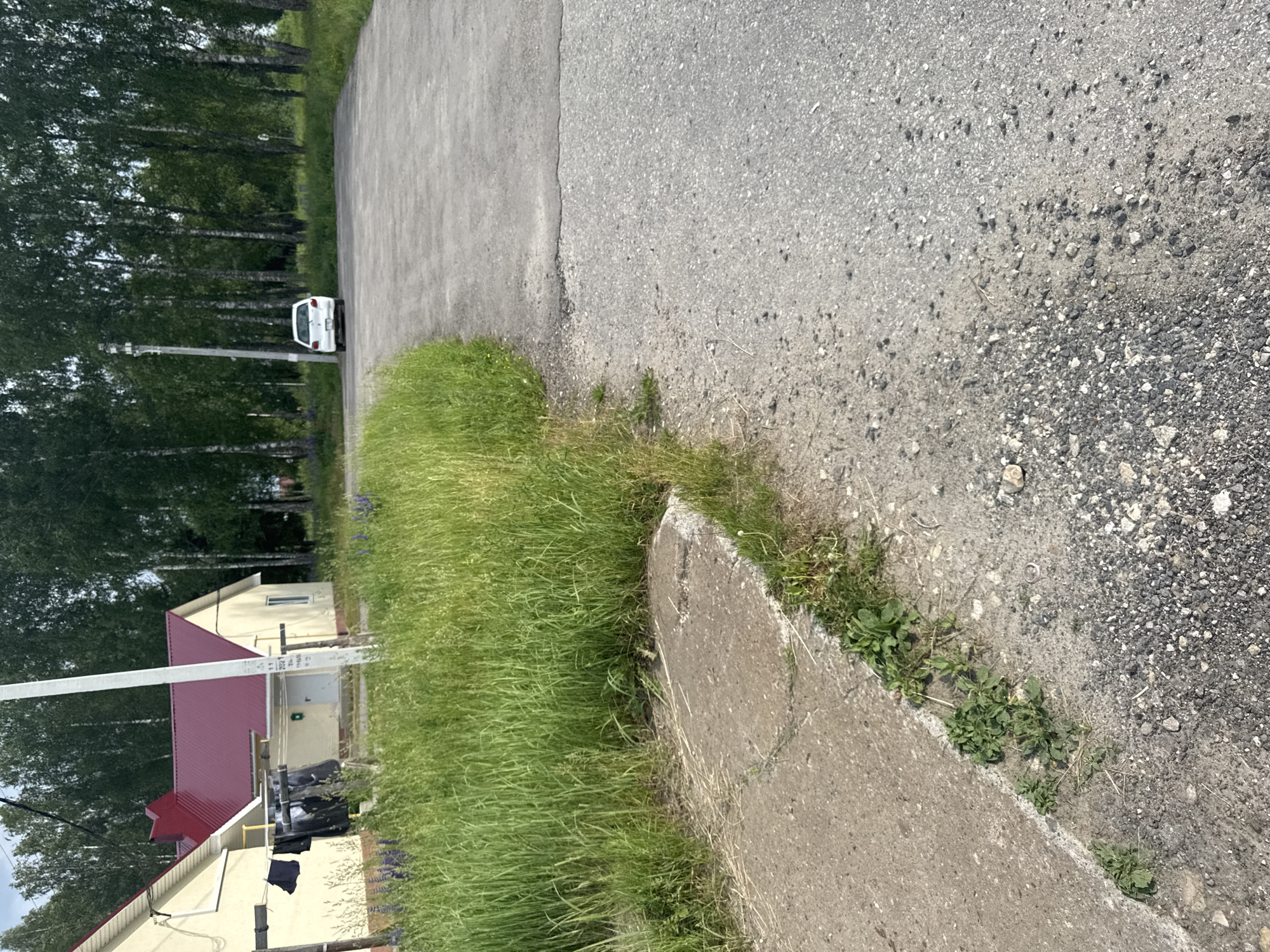 The image captures an outdoor scene in the village of Krasnye Baki, Russia. In the foreground, a grey concrete path borders an area of tall green grass. The path appears somewhat weathered, with some patches of smaller stones and sparse vegetation growing along its edge.
Beyond the path and grass, a paved area, possibly a parking lot or road, extends into the middle ground. A white passenger car is parked on this paved surface. In the background, a cluster of tall, slender trees with green foliage forms a backdrop to the scene. Adjacent to the grassy area, a light-colored building with a red roof is visible. Clothes, including dark-colored items, are hanging on a line attached to the building. A white pole, possibly a utility pole, stands near the building and extends upwards. The overall environment suggests a rural or semi-rural setting on a clear day.