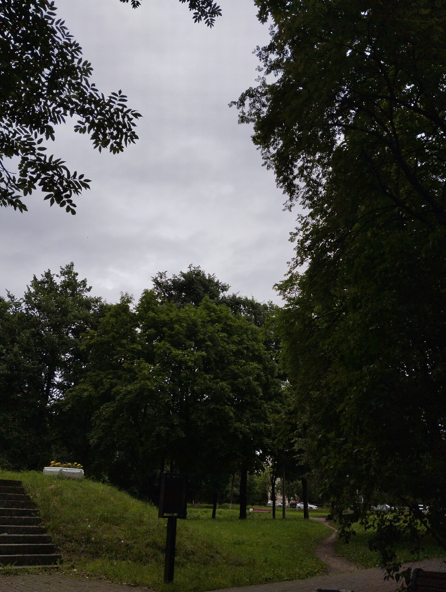 The image depicts an overcast day in Kingisepp, Russia, likely a park or public space, given the presence of trees, grass, and a pathway. In the foreground to the left, a set of concrete stairs ascends a grassy incline. At the top of the stairs, on the left side of the frame, a white planter box filled with yellow flowers sits on the grass. A dark, rectangular post is located on the grass to the right of the stairs and slightly further back. Dense foliage from various trees dominates the upper and right portions of the image, with some trees also visible in the background. A dirt path curves through the grass towards the right side of the frame. In the background, beyond the trees and grass, a street with parked cars is visible, suggesting the park is adjacent to a residential or urban area. The sky is heavily clouded and gray. There are no people visible in the image.