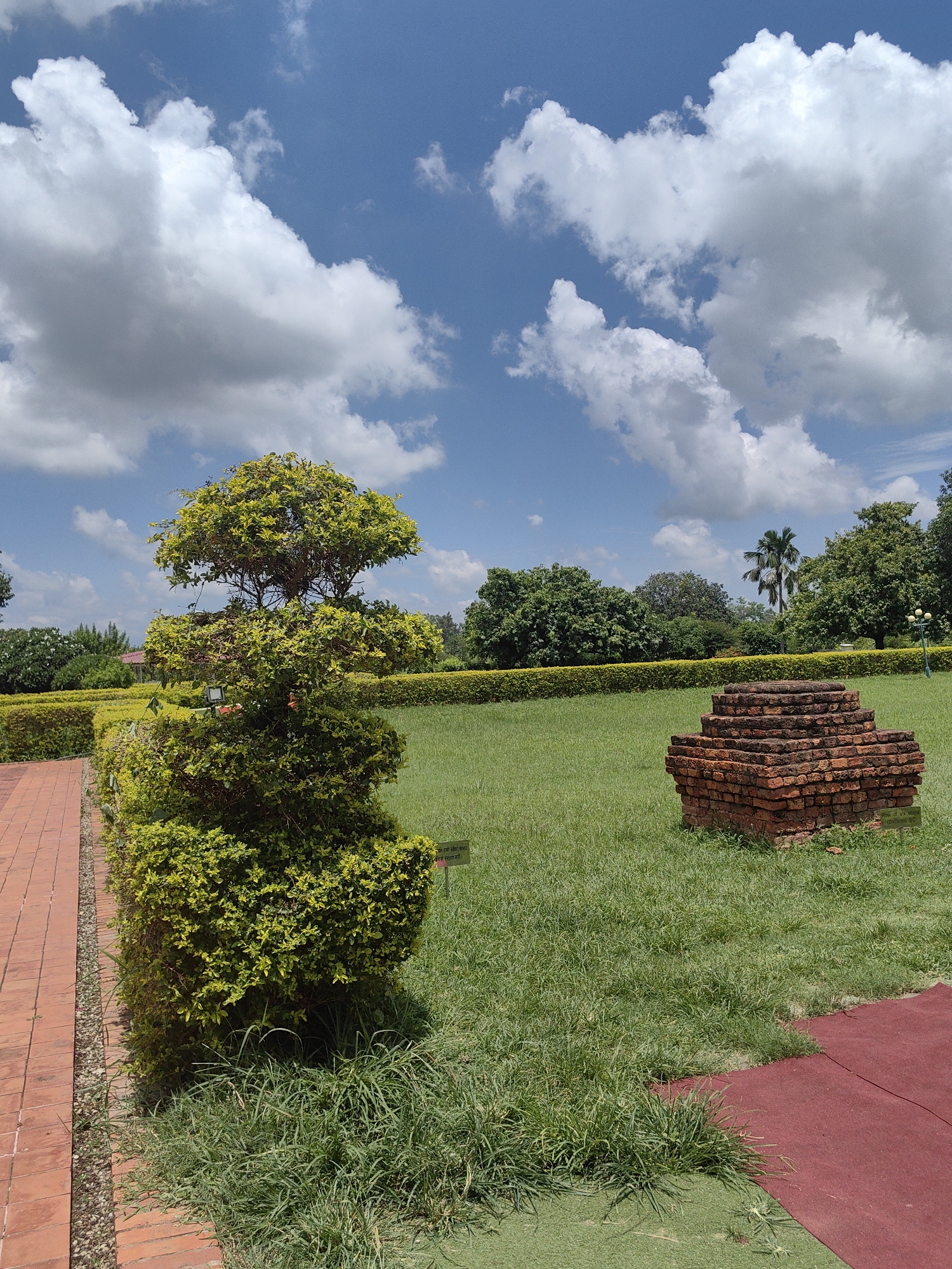The image depicts a well-maintained garden area in Lumbini Bazaar, Nepal, under a bright blue sky with scattered white clouds. In the foreground, a neatly trimmed green bush shaped like a tiered shrub stands to the left, adjacent to a brick pathway. To the right, a small, layered structure made of red bricks sits on a grassy lawn. In the middle ground, a line of dense green hedges forms a barrier, with more trees visible beyond. The background features a variety of lush green trees, some taller and more mature, adding to the serene park-like atmosphere. A lamppost is visible in the far right background. The scene is devoid of any people or overt actions.