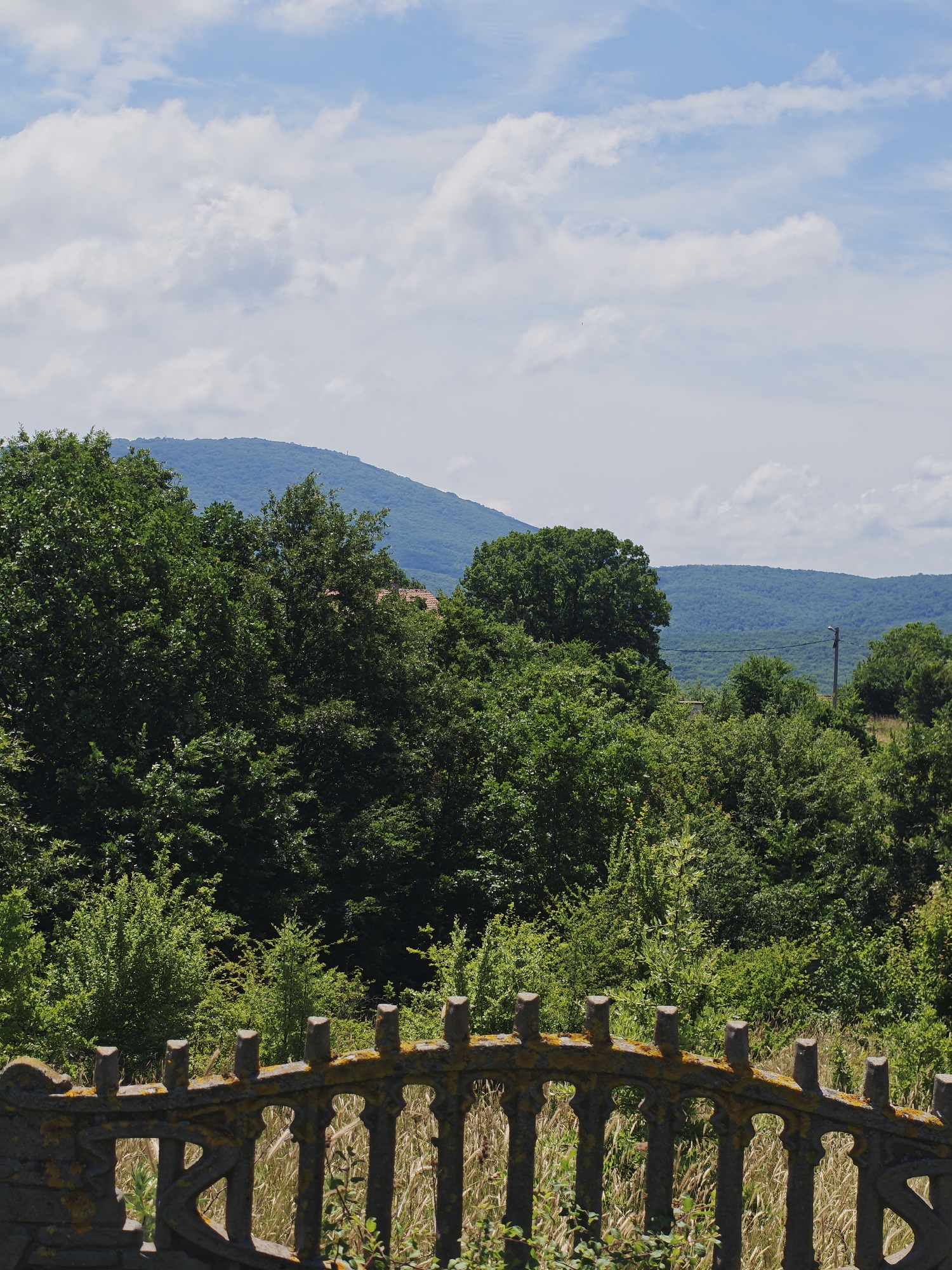 The image depicts a lush green landscape with rolling hills and a bright blue sky with scattered white clouds. In the foreground, there is an ornate, weathered metal fence, possibly made of cast iron, with moss and lichen growing on it. The fence is partially obscured by tall, dry grass and some green foliage. Beyond the fence, dense trees dominate the mid-ground, with varying shades of green indicating different species and light conditions. A few hints of red rooftops are visible amongst the trees, suggesting the presence of a settlement. In the background, layered hills fade into the distance, covered in vegetation. The overall impression is one of a tranquil, rural setting, likely on the outskirts of a village or town. The location is Izgrev, Bulgaria.