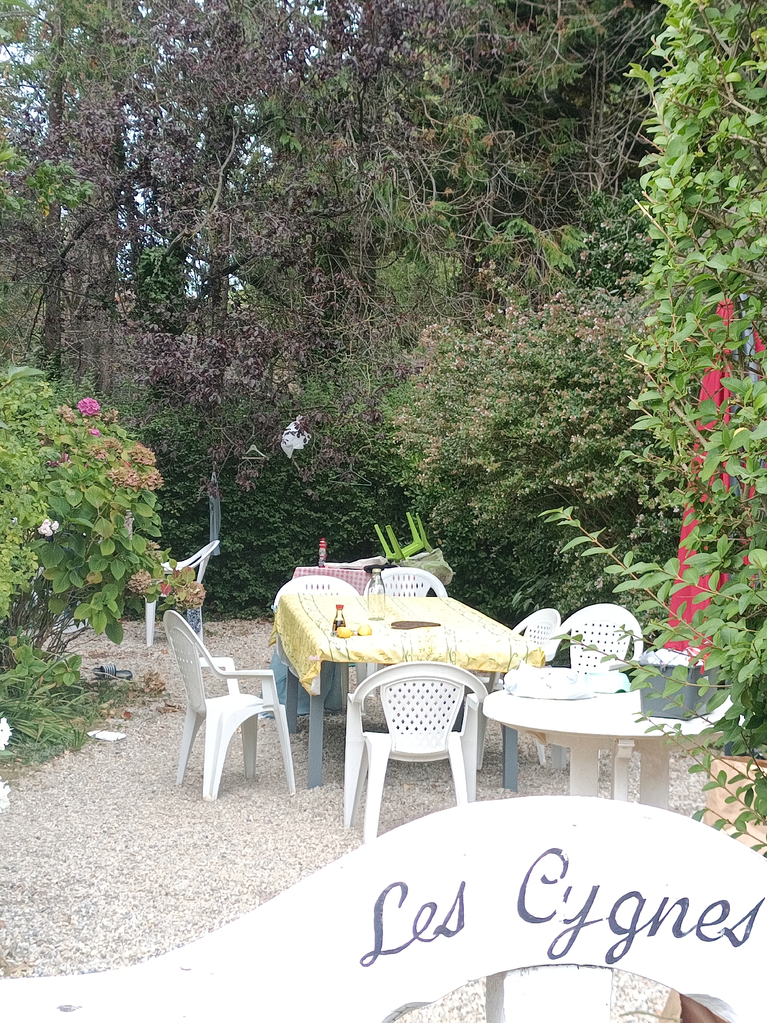 An outdoor seating area is depicted in what appears to be a residential backyard. A round table is set with a yellow tablecloth and a checkered red and white one. Several white plastic chairs are arranged around the table. On the table, there are a few bottles, one appearing to be soy sauce, and some fruit. Green plastic chairs are stacked haphazardly in the background.

The environment is lush and green, with dense foliage and trees surrounding the seating area. There are flowering plants, including hydrangeas, on the left side of the image. The ground is covered in light-colored gravel.

In the foreground, a white bench with black cursive lettering that reads "Les Cygnes" is visible. This suggests the location is likely a private property, possibly a guesthouse or a private residence named "Les Cygnes." Houlgate is a seaside resort town in Normandy, France. Given the setting, it's plausible this scene is in a garden or terrace within Houlgate, likely belonging to a property with that name. There are no people visible in the image.