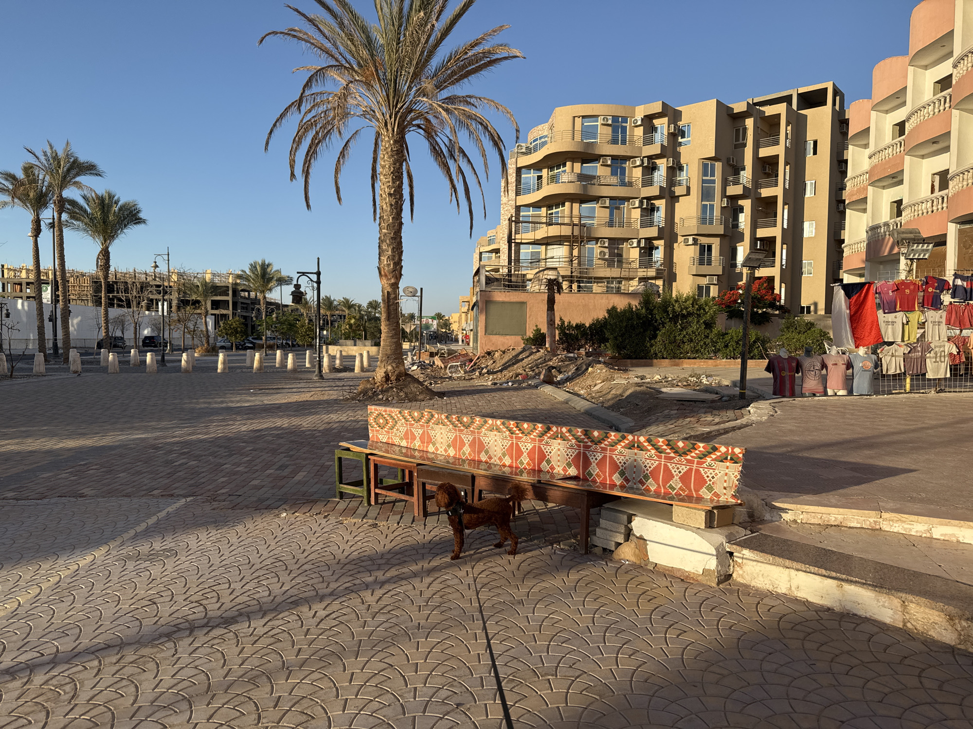 The image shows a public square in an urban location. The ground is paved with patterned concrete tiles. A medium-sized brown dog stands in the foreground. Behind the dog is a display table covered with a patterned textile. Various T-shirts are displayed on a rack to the right of the table. A tall palm tree stands to the left, with other palm trees visible in the distance. In the background are several multi-story buildings. Some construction or debris is scattered around the base of the palm tree and in the area behind the display table. The sky is clear and blue.