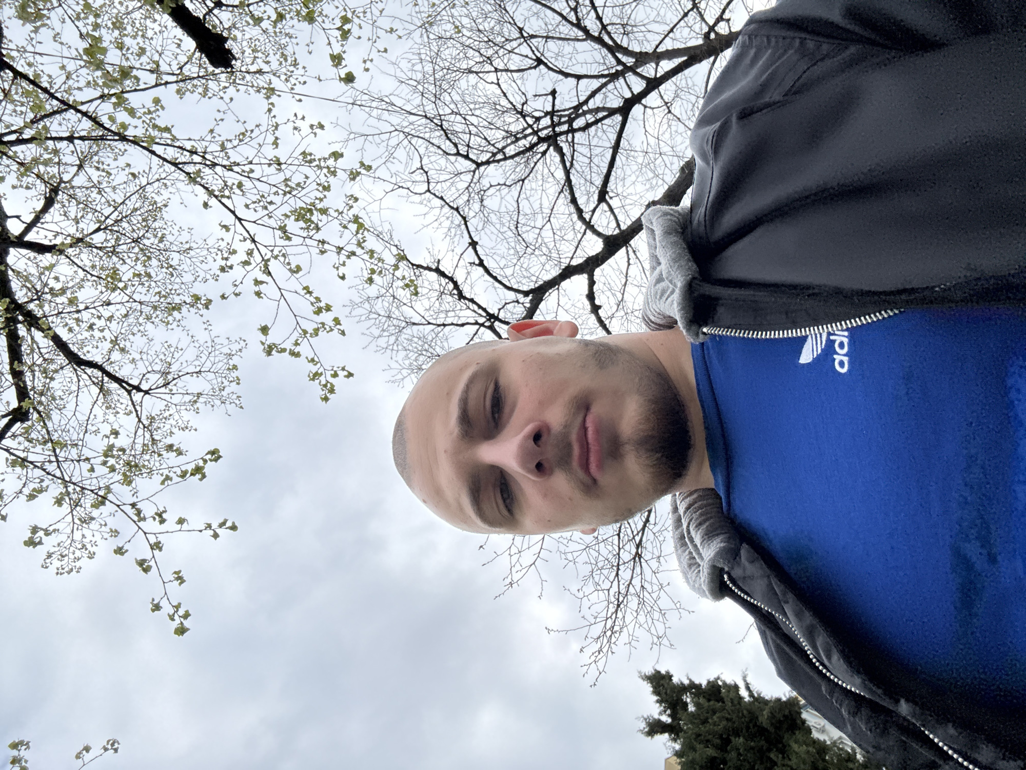 A low-angle, outdoor photograph depicts a man against a backdrop of trees and sky. The man, partially visible, is bald with a short beard. He is wearing a blue Adidas shirt and a black jacket with a gray hood. Above and around him are tree branches, some bare and some with small leaves, suggesting early spring. The sky is overcast and gray. Based on the presence of trees, the low angle of the photo, and the architecture in the background (hint crop), it is possible the location is in a park in Stara Zagora, Bulgaria.