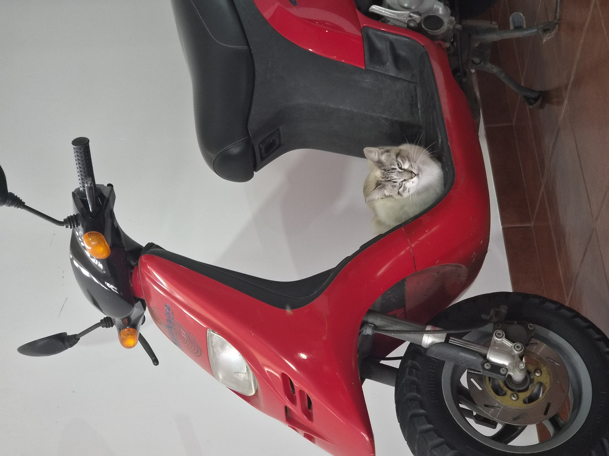 A cat with grey and white fur is sitting inside the red frame of a scooter. The scooter has black handlebars, a black seat, and a front wheel visible in the lower right corner. The background is a mix of white and brown tiled walls. The location is Barcelos, Portugal.