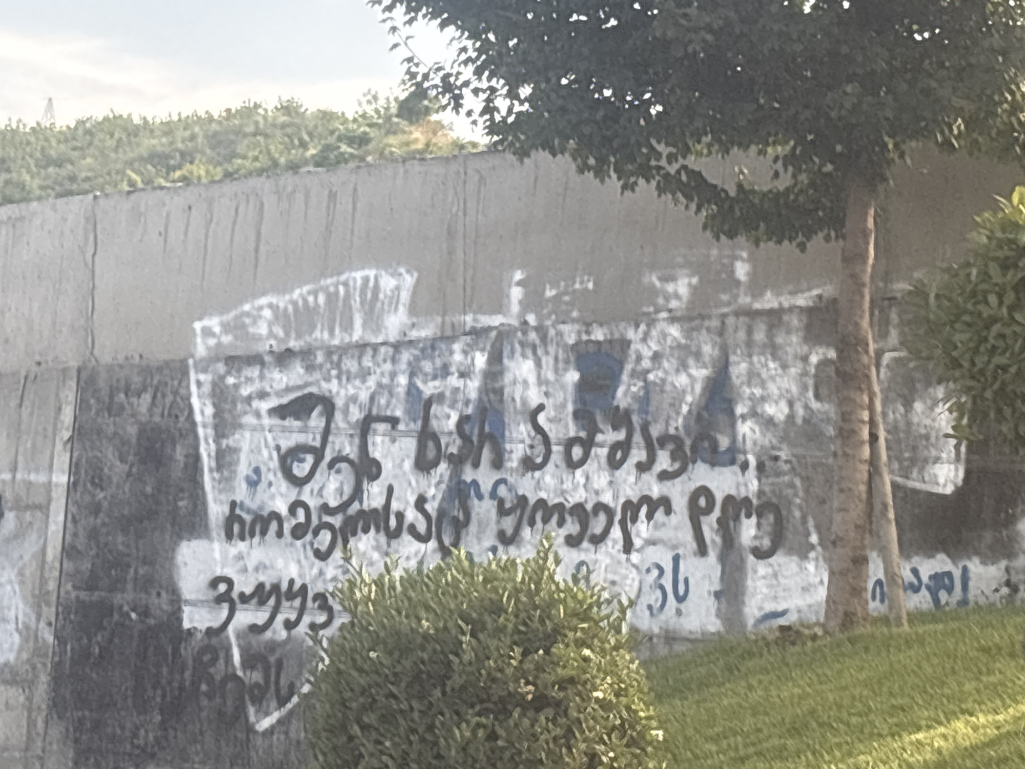 The media file depicts a section of a graffiti-covered concrete wall in Tbilisi, Georgia. The graffiti is in Georgian script and appears to be in black and blue paint. The wall is rough and textured, with visible cracks and imperfections. The upper portion of the wall is obscured by the branches of a large tree with dark green foliage, suggesting it is daytime, possibly late afternoon given the lighting. In front of the wall, a neatly trimmed green bush is visible, and beyond that, a patch of green grass. The overall scene is an outdoor urban environment, likely a public space where street art is present. The graffiti itself is abstract in parts, with some legible text, but the meaning is not immediately clear without translation. The presence of trees and greenery indicates a pleasant, possibly warm, climate. The image has a slightly hazy quality, which could be due to atmospheric conditions or the camera's focus.