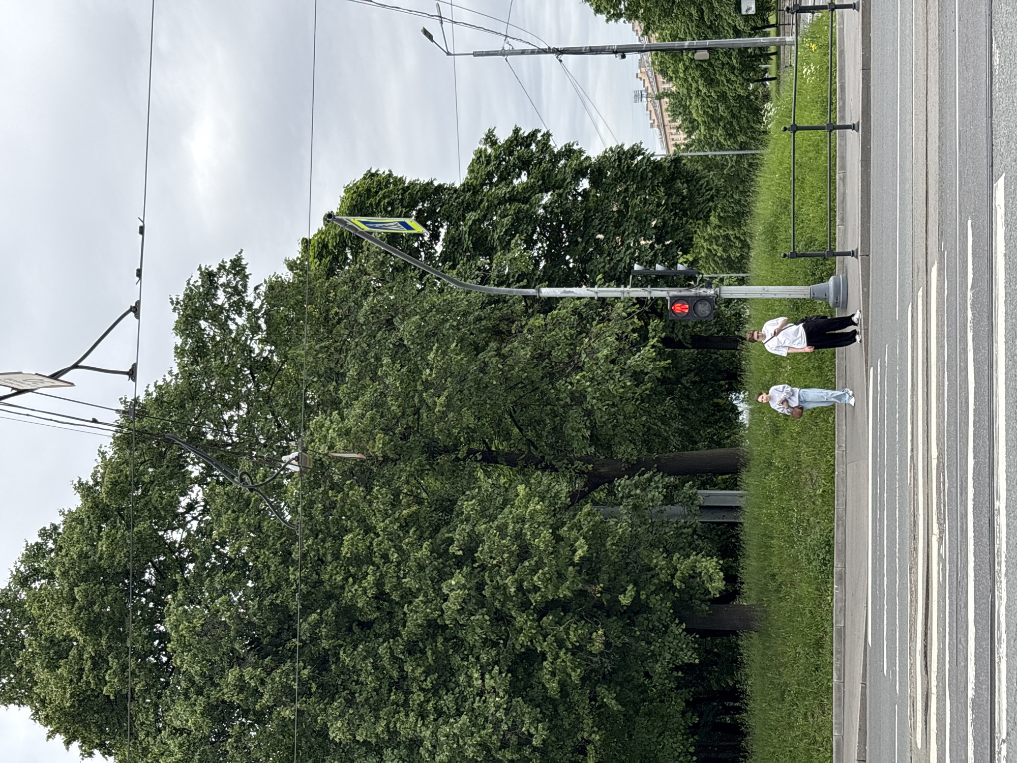 This is a medium-angle, eye-level, full-shot photograph of a pedestrian crossing on a cloudy day in Saint Petersburg, Russia. The scene depicts a street with a zebra crossing in the foreground. Two individuals are waiting on the sidewalk to the right of a traffic signal. The person on the left, identified as female, is wearing a light-colored hoodie and blue jeans, holding a brown bag. The person on the right, identified as male, is wearing a white t-shirt, black pants, and glasses, and is looking at a phone. They are standing near a traffic light that is illuminated red. A pedestrian crossing sign is visible above the traffic light. A metal fence runs along the edge of the sidewalk. Behind the sidewalk is a grassy embankment, and further back are large trees with dense green foliage, and some buildings in the distance. Overhead, electrical wires and poles are visible against the overcast sky. The street appears to be paved with asphalt, with tram tracks integrated into the road surface. The overall impression is of an urban environment with a focus on a pedestrian crossing area.