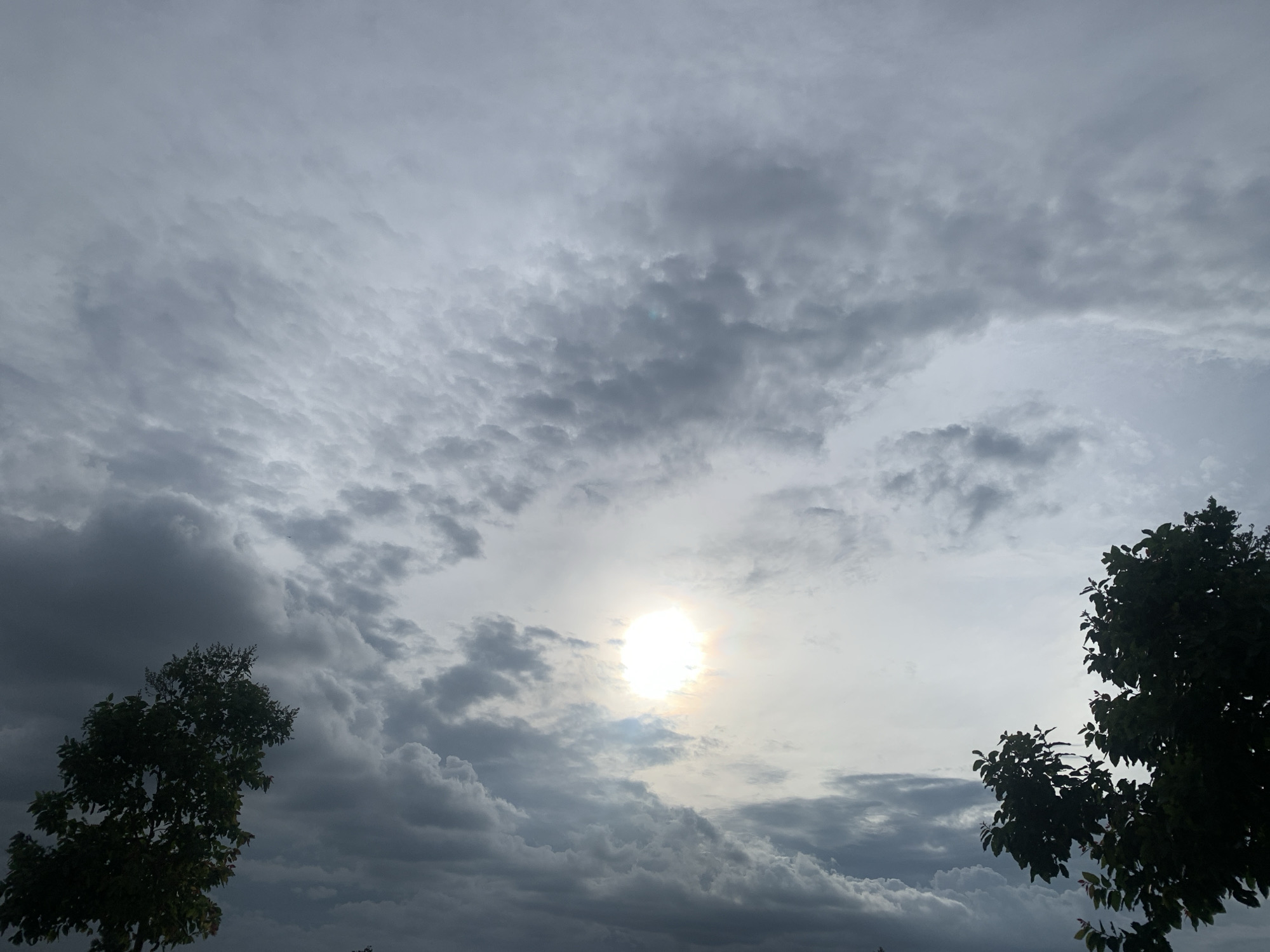 The image shows a cloudy sky with the sun partially visible through the clouds. There are silhouetted trees in the foreground on the left and right sides of the image. The clouds are dense and varied in texture, with some appearing dark and ominous, while others are lighter and more diffused. The sun is a bright, glowing orb, casting a soft light through the atmospheric haze. The environment appears to be outdoors, likely in a rural or semi-urban setting, given the presence of trees and the open sky. There are no people visible in the image. The scene conveys a sense of a dramatic sky, possibly before or after rain.