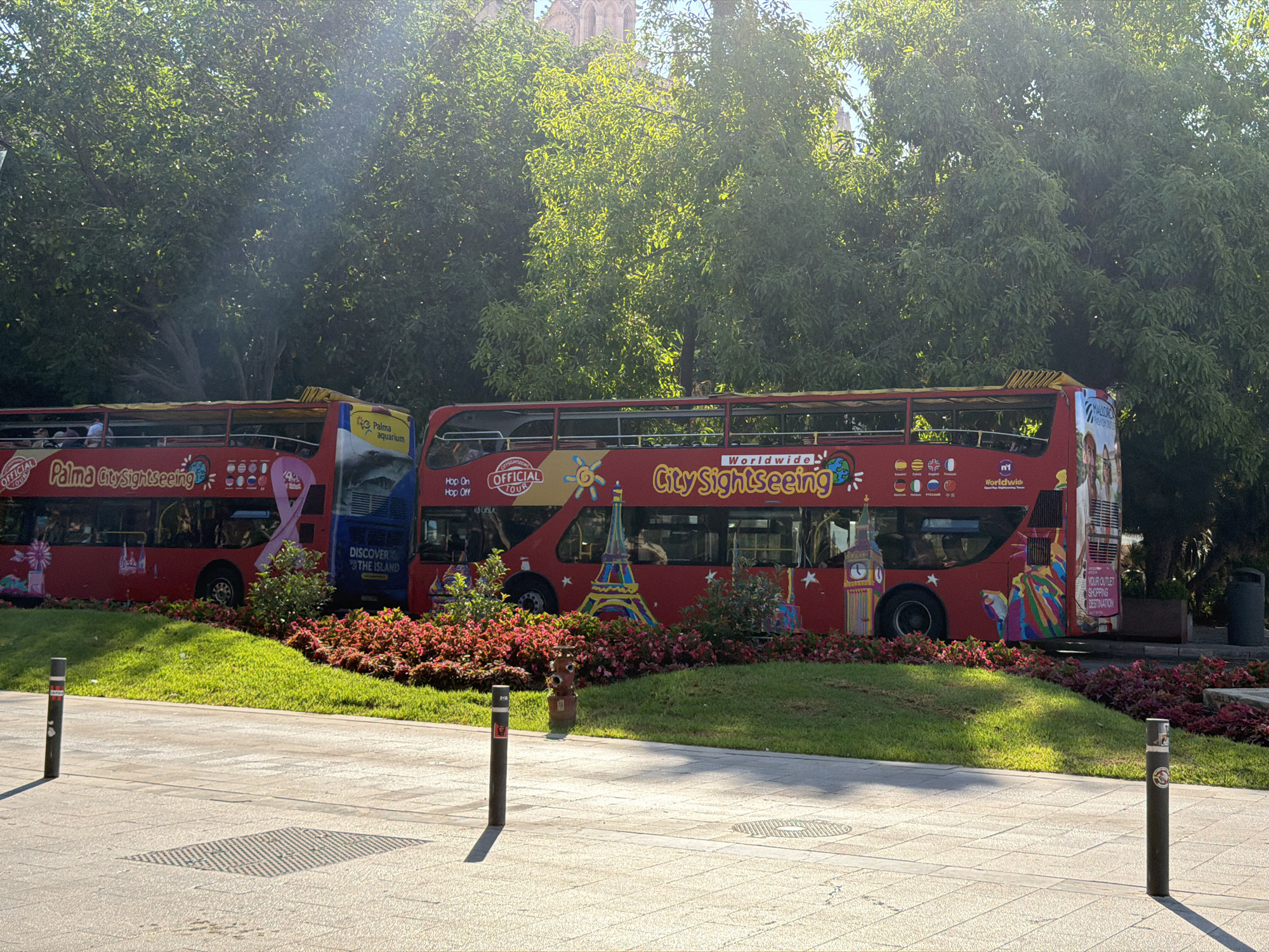 The image shows two red double-decker "City Sightseeing" tour buses parked side-by-side on a sunny day in Palma, Spain. The buses are decorated with various iconic landmarks such as the Eiffel Tower, the Statue of Liberty, and Big Ben, along with the "Palma Aquarium" logo. The buses are parked in front of lush green trees and a garden bed with pink and red flowers. The foreground consists of a paved walkway with a metal grate and two dark bollards, one casting a distinct shadow. In the background, the sun is shining brightly through the leaves of the trees, creating a lens flare effect. The scene appears to be a typical tourist stop in the city of Palma.