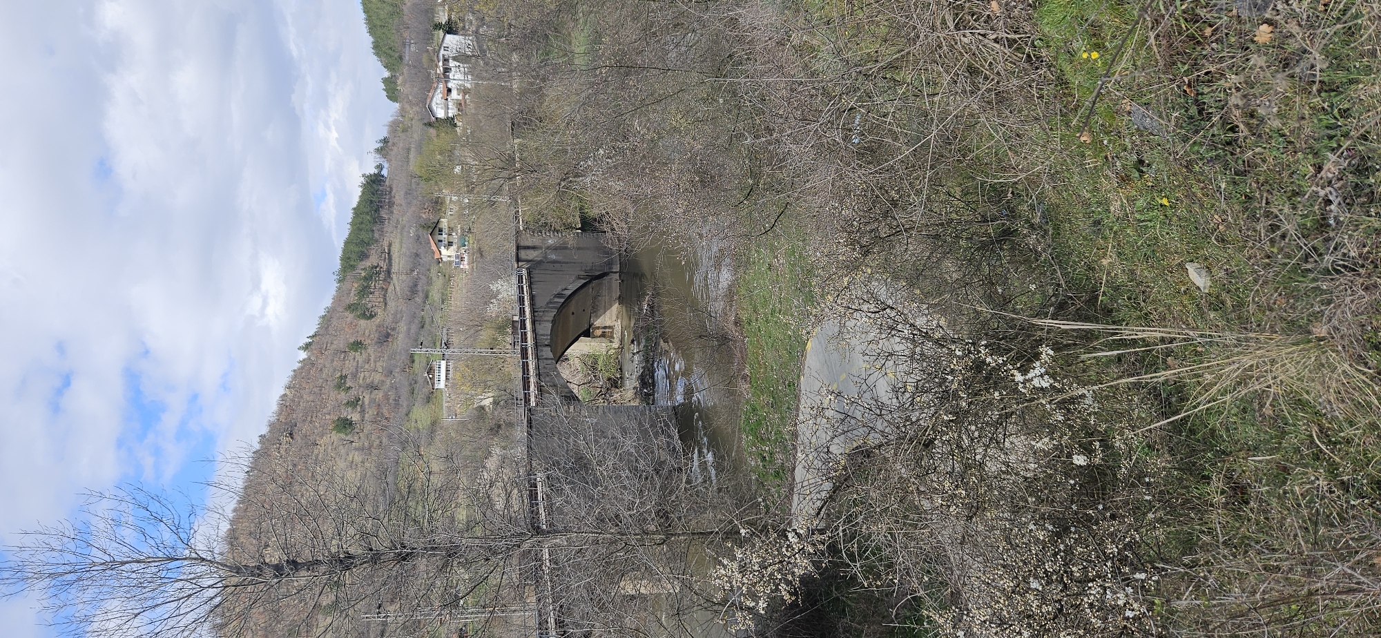 The image presents a panoramic view of a river valley located in the city of Blagoevgrad, Bulgaria. The sky above is partially cloudy, showing patches of blue between diffused grey clouds.
In the immediate foreground, a steep slope covered in dense, mostly leafless shrubbery is visible. Some of these bushes display clusters of small white blossoms, indicative of early spring. Patches of green grass intermingle with taller, dry yellow-brown vegetation. A narrow, paved path with faint yellow markings curves from the lower left corner, disappearing into the undergrowth.
The midground is dominated by a river flowing generally from the left to the right of the frame. The water is a murky, light brown color, displaying ripples and areas of minor turbulence, particularly beneath a bridge. Spanning the river is a multi-span railway bridge constructed of concrete and stone. The bridge features at least one prominent, large arch over the main river channel and extends with flatter sections supported by piers. Two parallel railway tracks are visible on the bridge deck, accompanied by overhead electrical lines supported by poles.
The background consists of ascending hillsides. These hills are sparsely wooded with a mix of deciduous trees, most of which are currently bare of leaves, and clusters of dark green evergreen conifers. Several residential structures, characterized by light-colored walls and dark or reddish roofs, are scattered across the far hillside, situated above the railway line. Utility poles with wires are also visible along the railway route and on the hillside.
No individuals, animals, or active interactions are present in the scene.