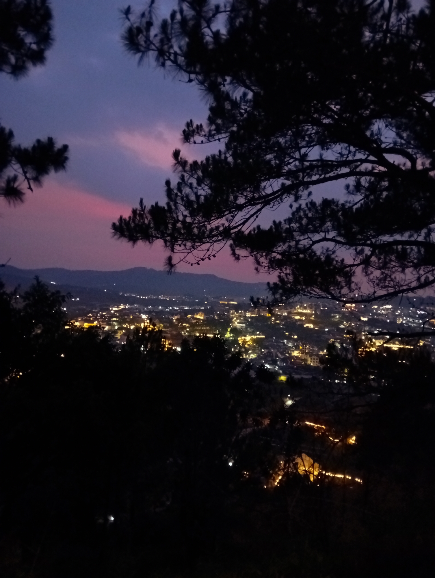 View of Da Lat, Vietnam, at night from an elevated vantage point. Silhouetted pine trees frame the upper portion of the image. A cityscape of lights fills the middle ground, extending to distant hills. The sky shows a transition from deep purple to hints of pink, indicative of twilight. The lower part of the frame is obscured by dark foliage.