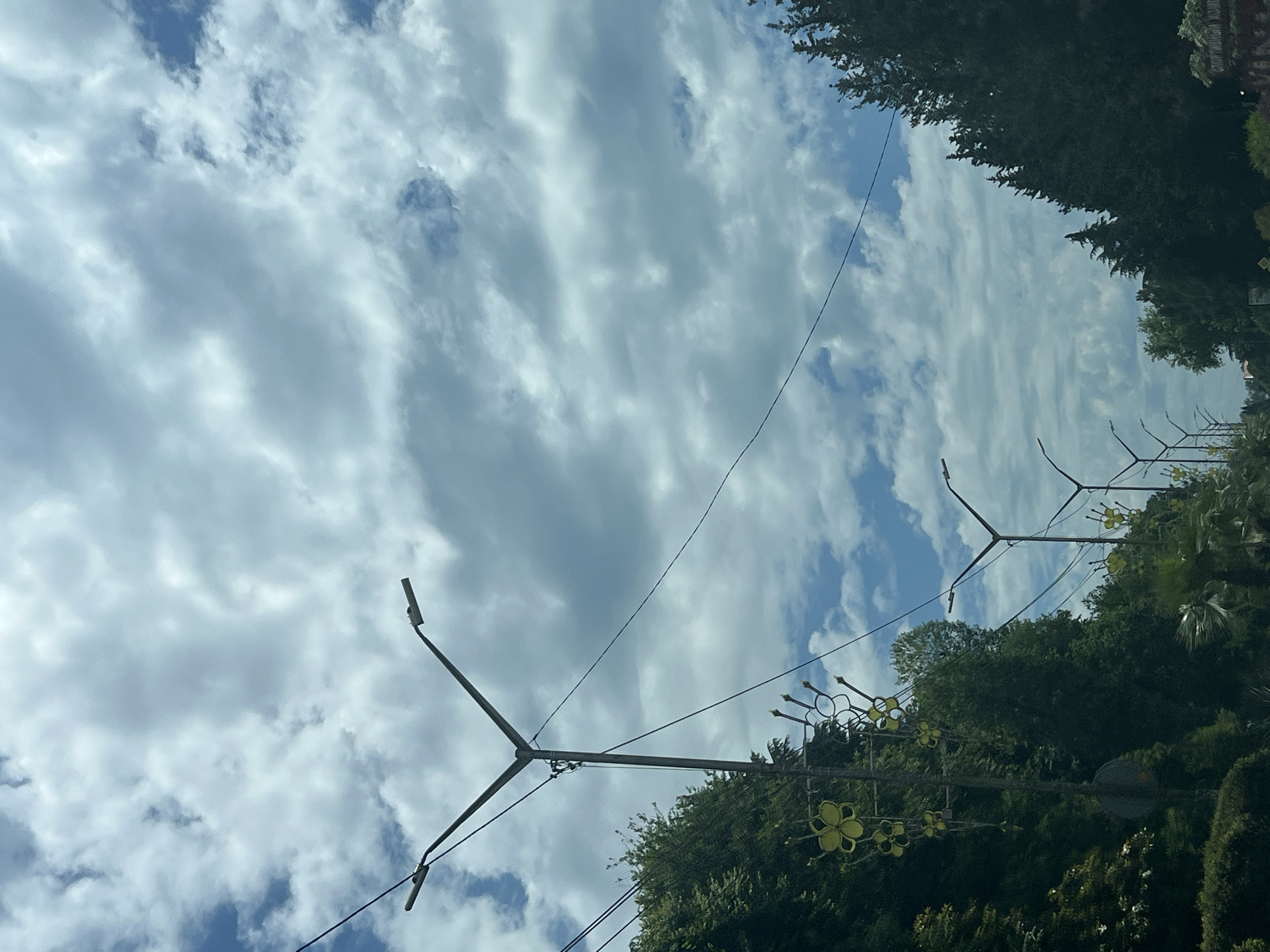 The image captures a view looking upwards towards a sky filled with dramatic, fluffy white clouds interspersed with patches of blue. In the foreground, on the left side, a dense green hillside is covered in lush foliage, including trees and bushes. A prominent street light with a Y-shaped arm, holding two modern light fixtures, stands tall against the sky. This street light is adorned with yellow, flower-shaped decorations. Another similar street light with yellow flower decorations is visible further down the hillside, and the tops of several more street lights can be seen receding into the distance along a road. On the right side of the image, tall, dark green coniferous trees line the edge of the frame. The overall impression is of a well-lit street or boulevard in a verdant, possibly coastal or mountainous, urban environment on a cloudy day.