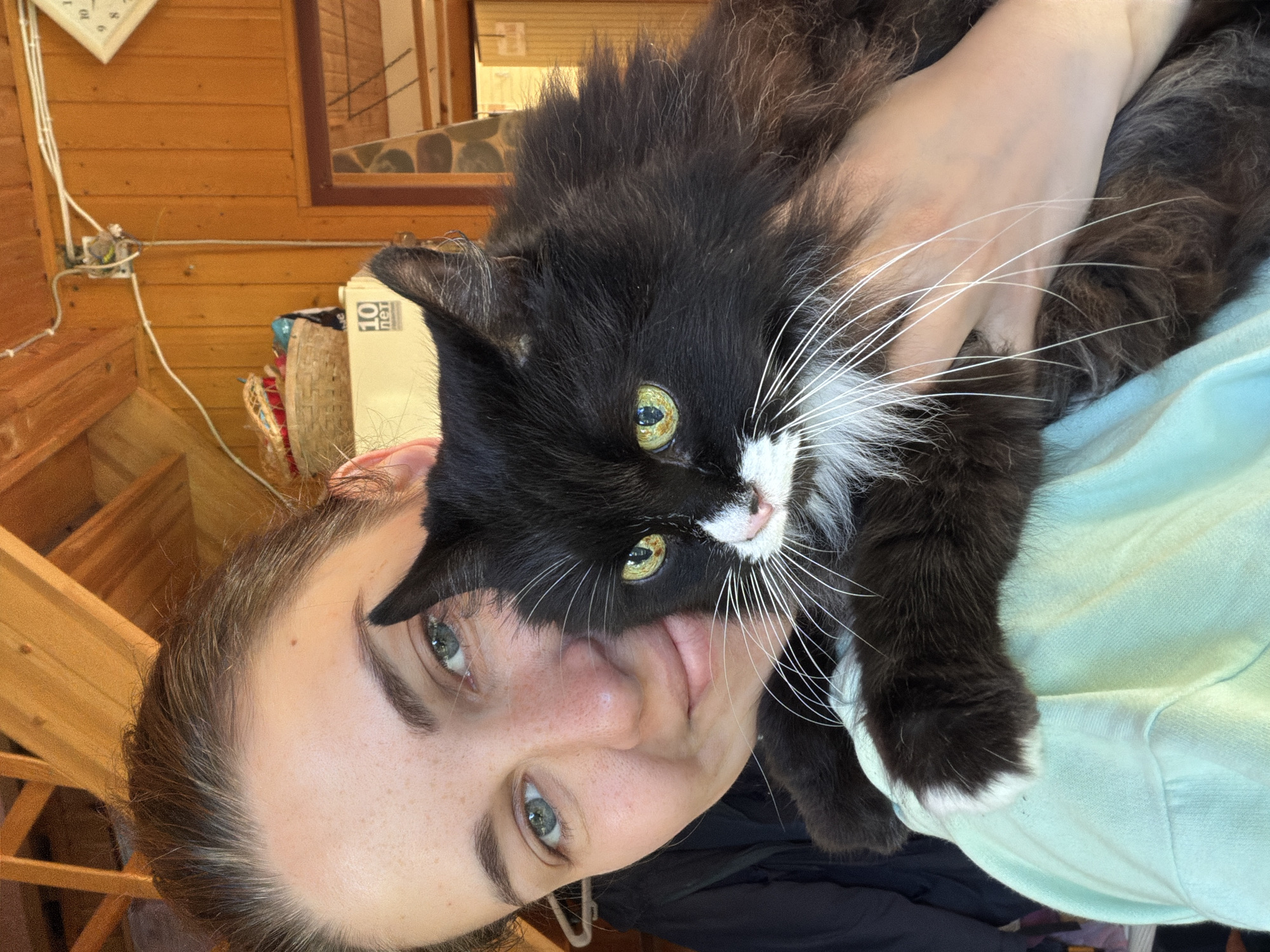 A woman with brown hair pulled back and green eyes, speckled with freckles, holds a long-haired black and white cat. The cat has striking yellow-green eyes and long white whiskers. The woman is wearing a light blue hoodie. They are indoors, in what appears to be a rustic room with wooden walls and exposed wooden ceiling beams. A basket is visible on a shelf in the background, as well as a clock on the wall. The scene is lit by natural light.