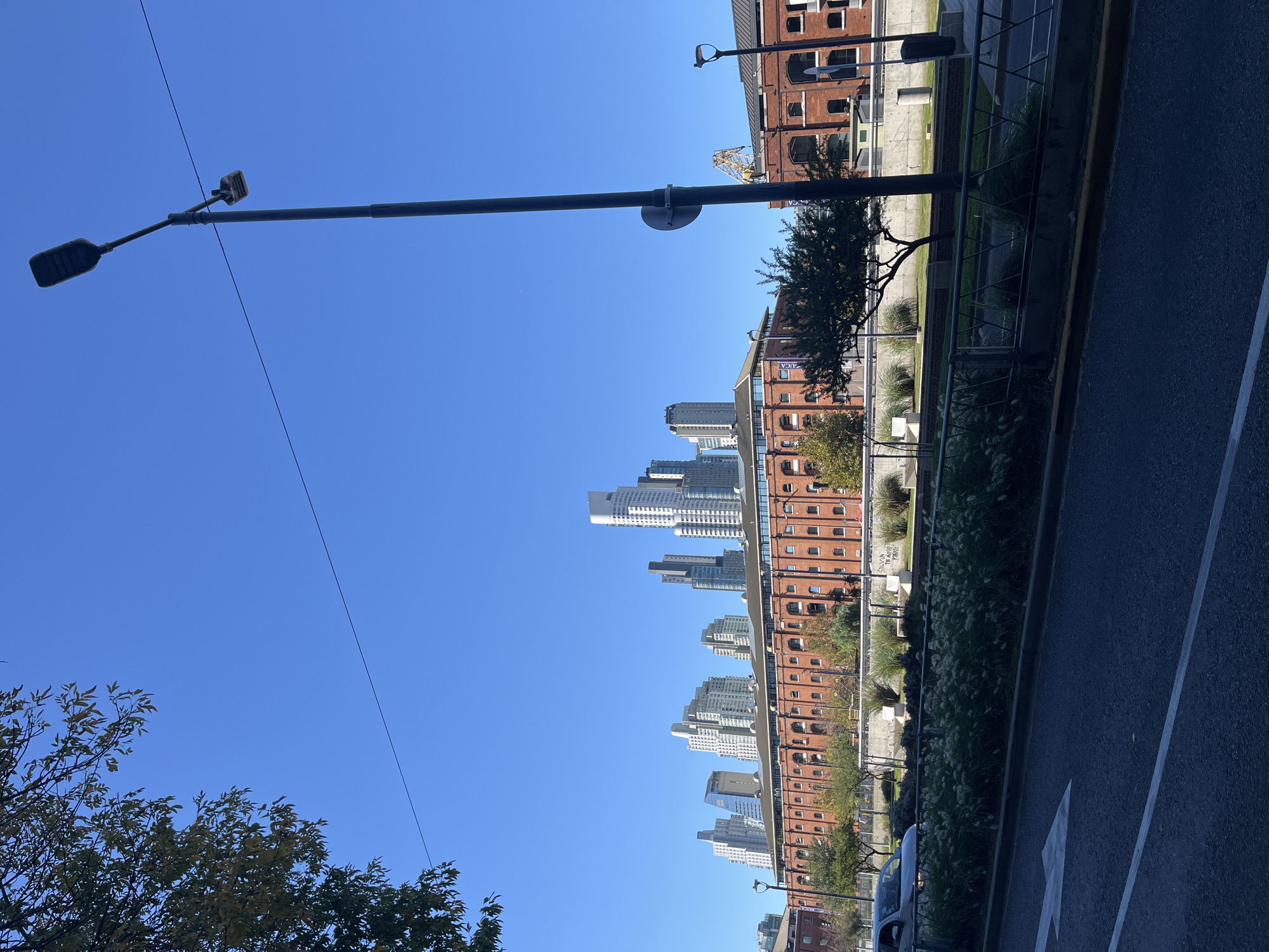 The image, oriented correctly, presents a sunny daytime view of an urban landscape in Buenos Aires, Argentina. A clear, bright blue sky dominates the upper portion. In the foreground on the left, a tall, black streetlight pole extends horizontally, featuring two modern, dark streetlamp fixtures. A thin, dark utility wire stretches across the sky from left to right.
To the right of the streetlight pole, a series of old, reddish-brown brick buildings with numerous windows line a canal or waterfront area. These structures appear to be renovated industrial or port buildings, characteristic of areas like Puerto Madero. On one of these buildings, the letters "UCA" are visible on a sign, likely referring to the Universidad Católica Argentina. Behind and to the left of these brick buildings, a cluster of modern, tall high-rise buildings and skyscrapers, predominantly white and grey, rise into the distance, showcasing a contrasting architectural style. A yellow construction crane is faintly visible between some of the brick buildings and the modern skyscrapers.
In the middle ground, a narrow strip of greenery runs parallel to the road, featuring various plants, including a small tree with a distinctive bent trunk and feathery white-plumed grasses. A metal railing separates this green space from the asphalt road on the far right. The road surface is dark grey, with a clear white arrow painted on it, pointing forward and slightly right, and a solid white line marking its edge. A yellow curb is visible along the road. A small portion of a light-colored car is seen parked or moving on the road near the bottom right corner. In the lower left corner, green tree foliage is visible, indicating more vegetation. The bright sunlight suggests a clear day, likely morning or afternoon. Some faded graffiti is present on a concrete wall behind the grasses, with the words "SIN VIA" and "PARA" somewhat legible.