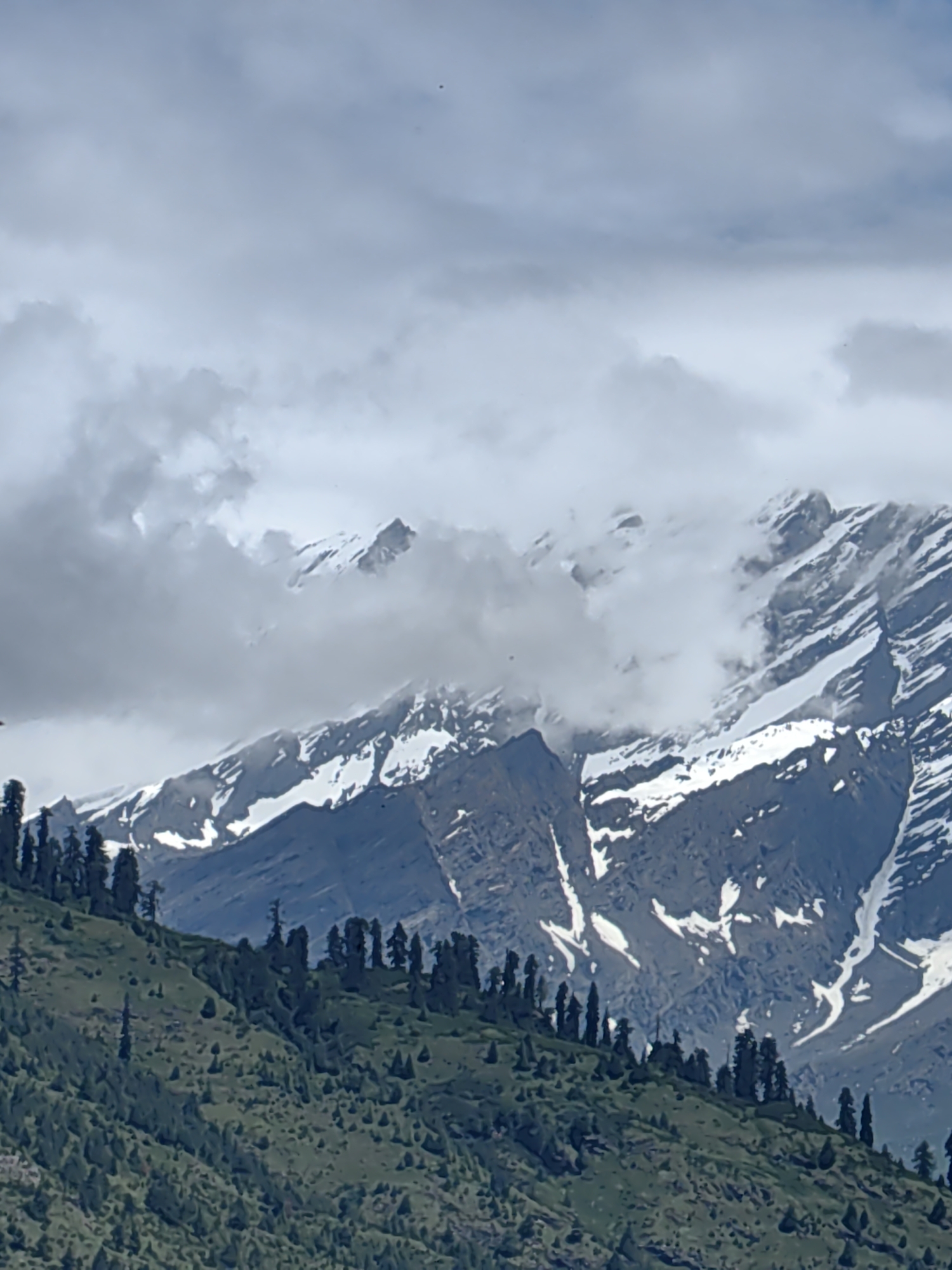 An overcast sky looms over a majestic mountain range. Snow-capped peaks pierce through a veil of clouds, their rugged slopes streaked with white. In the foreground, a lush green hillside is dotted with a dense forest of tall, dark evergreen trees, creating a stark contrast with the arid mountain landscape above. This scene is likely captured in Vashisht, India, a region known for its stunning Himalayan vistas. There are no people or specific actions depicted in the image; it is a static, natural landscape.