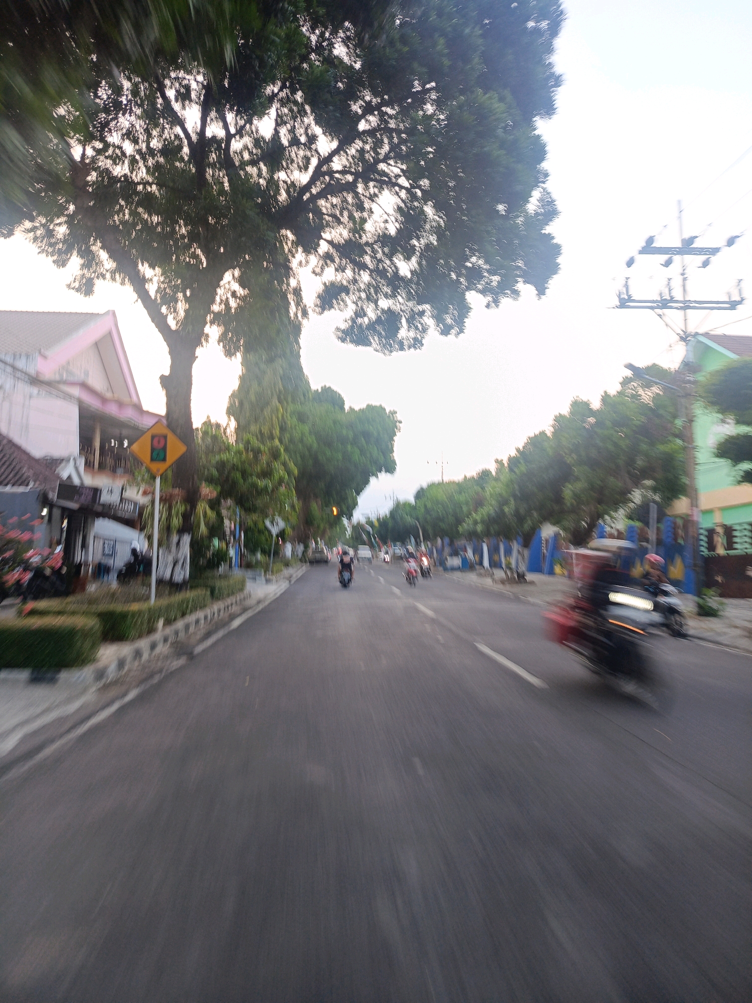 This is a motion-blurred, eye-level, outdoor photograph of a street scene in Candirejo, Indonesia. The image captures a road with traffic, trees lining the sides, and buildings in the background. The primary focus is the road and the movement of vehicles, evidenced by the streaks of light and blurred forms. Several motorcycles are visible on the road, with one in the foreground on the right side being particularly motion-blurred, suggesting it's moving at a considerable speed. Other motorcycles are further down the road, also appearing as streaks.
On the left side of the road, there is a sidewalk with neatly trimmed hedges. A traffic sign, a yellow diamond with a red and green traffic light symbol, is mounted on a pole next to the sidewalk. Behind the hedges and sidewalk, there is a building with a pink roof and what appears to be a storefront or restaurant. More trees and foliage are visible along the side of the road, with a tall, large tree dominating the left-center of the frame. In the background, there are houses and what seems to be a utility pole with wires. The sky is overcast and bright, indicating it could be late afternoon or early morning. The motion blur suggests the photograph was taken from a moving vehicle, likely a motorcycle, looking forward down the street.
