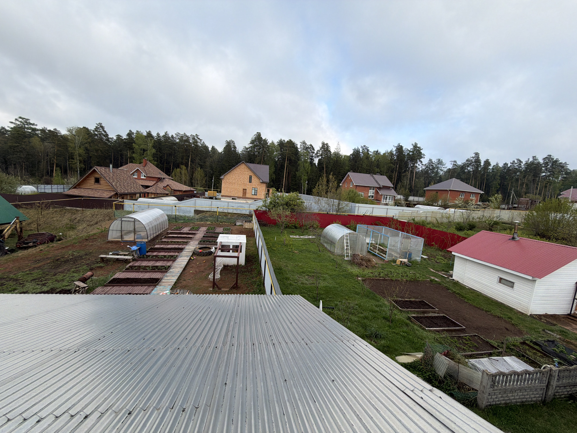 The image depicts a residential area in Chaikovsky, Russia, under an overcast sky. Several houses are visible, constructed from brick and wood, with varied roof styles and colors. In the foreground, a corrugated metal roof dominates the view, likely belonging to the structure from which the image was captured. The grounds feature cultivated gardens with raised beds, a white outbuilding with a red roof, and two hoop-house greenhouses. A red fence line separates some of the properties. The backdrop consists of a dense forest. No people are visible in the scene.