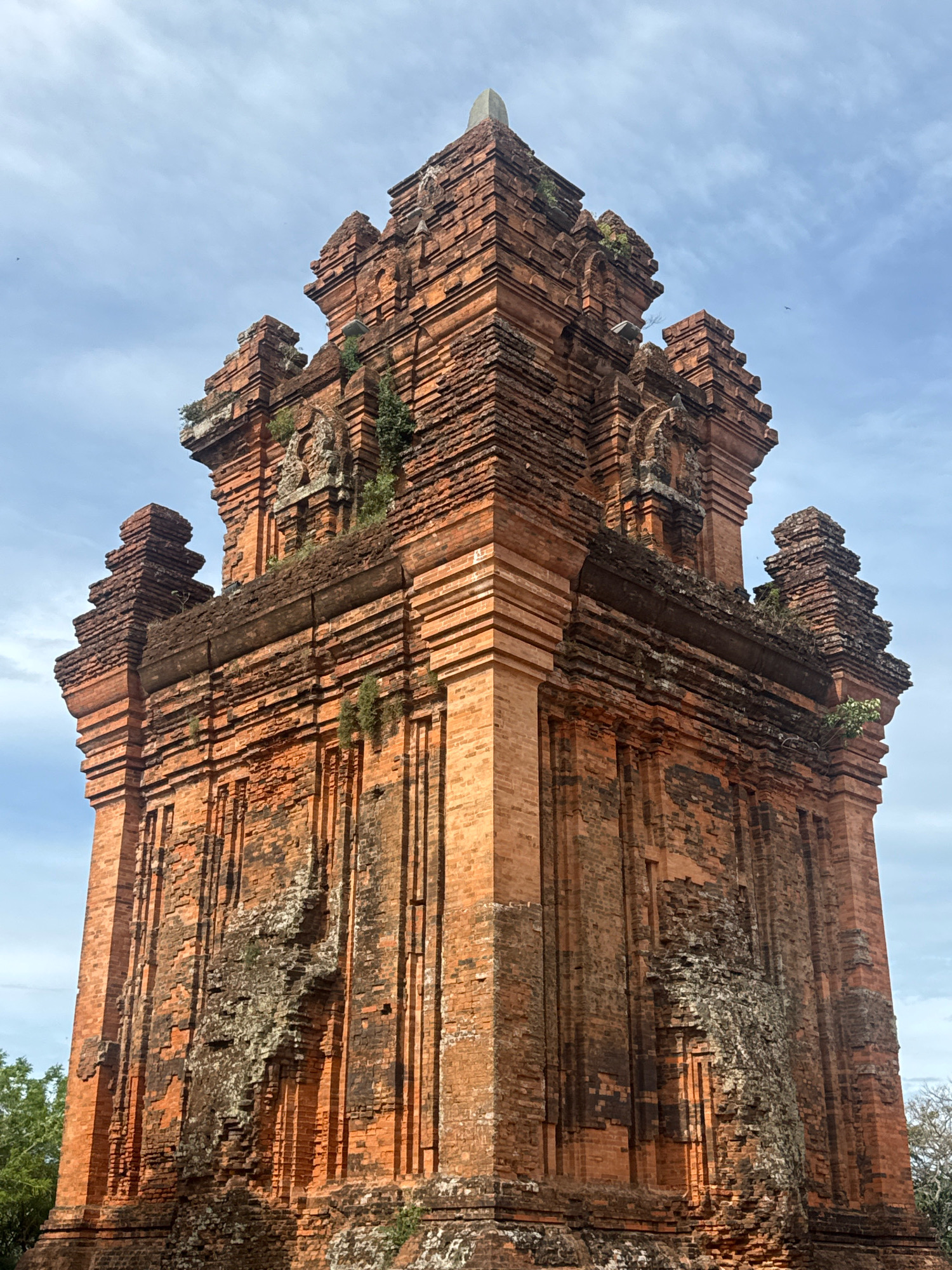 This is a low-angle, full shot of the Po Nagar Cham Towers in Tuy Hoa, Vietnam. The ancient brick structure dominates the frame, reaching upwards towards a cloudy blue sky. The towers are weathered and show signs of age, with some areas of moss and crumbling brickwork. Small green plants sprout from crevices in the masonry. The foreground shows the base of the tower and some distant green trees on the left and right sides. The architecture is characterized by its stepped, pyramidal design with multiple levels and decorative elements. The lighting suggests it is daytime, with soft light illuminating the structure.