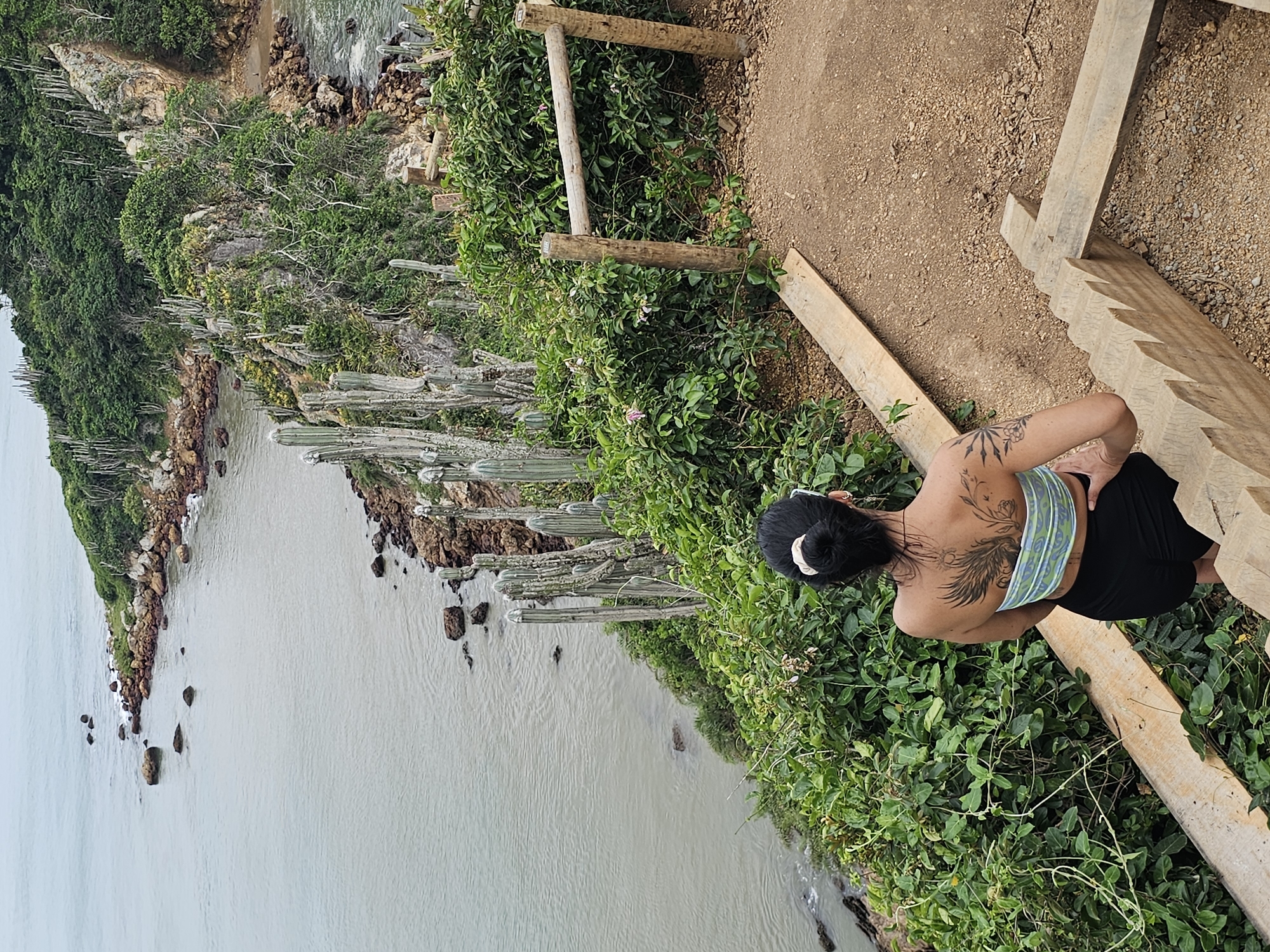 A medium, eye-level shot depicts a woman looking out over a coastline, likely captured at a high vantage point. The location is likely in Armação dos Búzios, Brazil, given the coastal landscape, vegetation, and architecture of the wooden walkway.
The woman has dark hair pulled back into a bun, a distinctive tattoo across her back, wearing a striped shirt and dark shorts. She leans against a wooden railing or fence.
The shoreline consists of rocky terrain, lush green vegetation, and tall cacti. The water is a light grey color, meeting the coastline. A wooden structure, possibly a path or walkway with wooden railings, extends along the top edge of the frame. The pathway appears to be dirt or packed earth.
