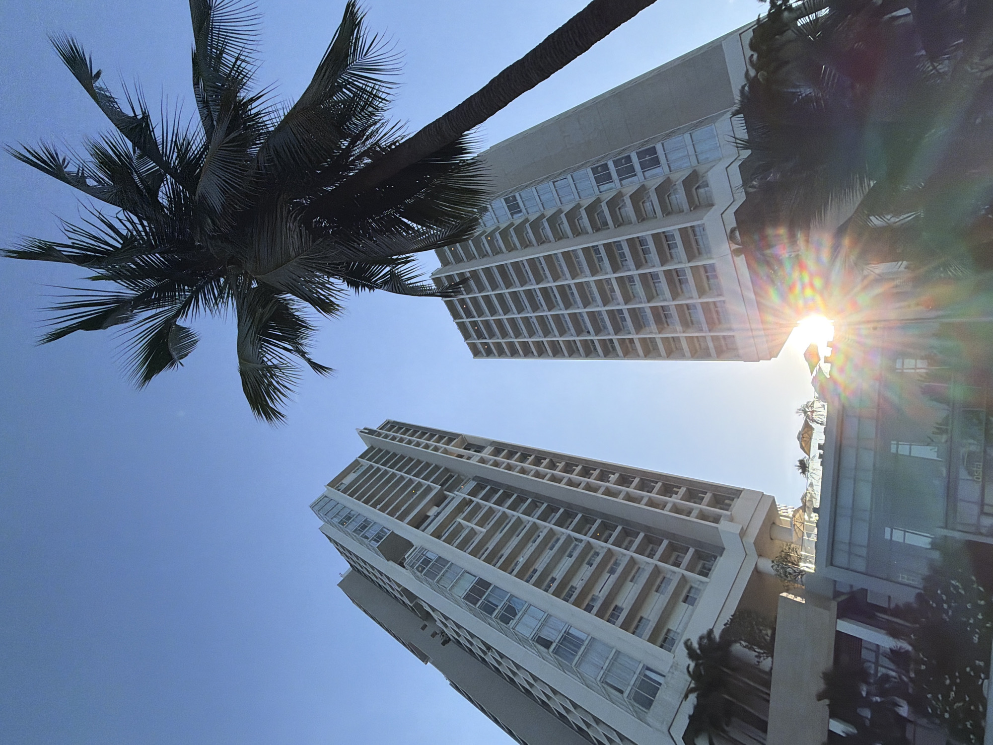 The image displays a low-angle shot of two modern high-rise buildings against a clear blue sky. A prominent palm tree is silhouetted against the sky, its fronds extending towards the top right of the frame. The buildings are white with numerous balconies and windows. The sun is visible behind a lower section of the building on the right, creating a strong lens flare with rainbow-colored streaks. The bottom of the image shows a glass-fronted building with some landscaping and palm trees. This scene is likely the InterContinental Nha Trang, a luxury hotel located on the beachfront in the city of Nha Trang, Vietnam, known for its contemporary architecture and tropical setting.